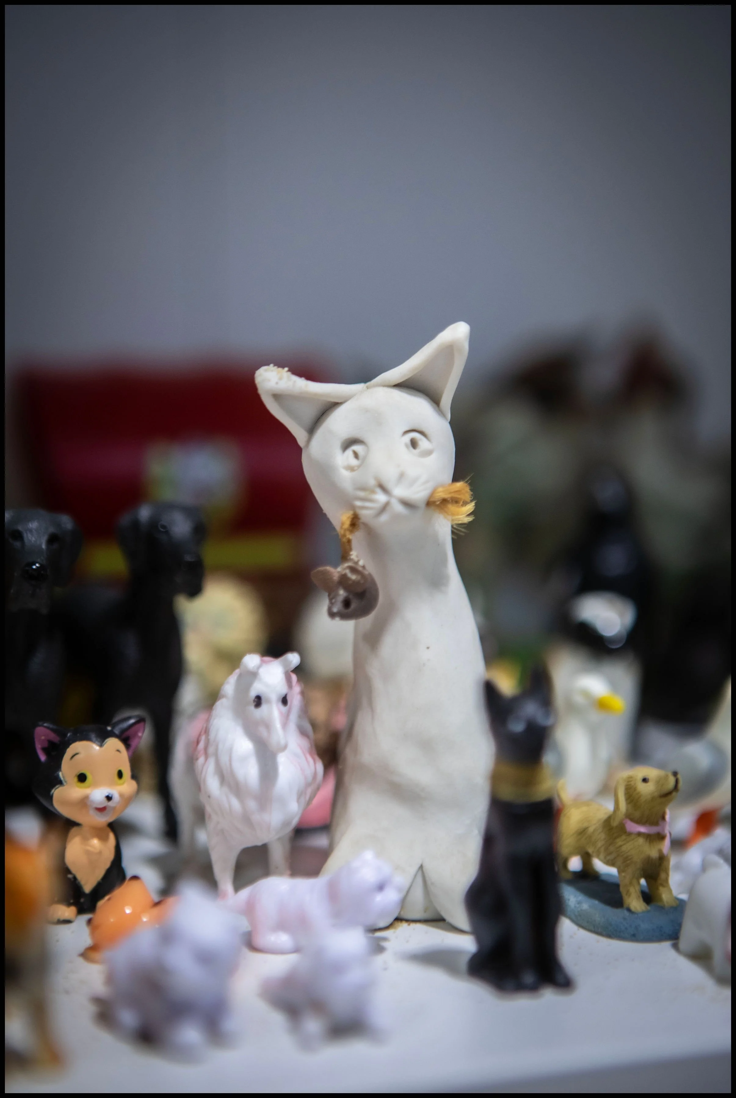 IMG_0401copy.jpg