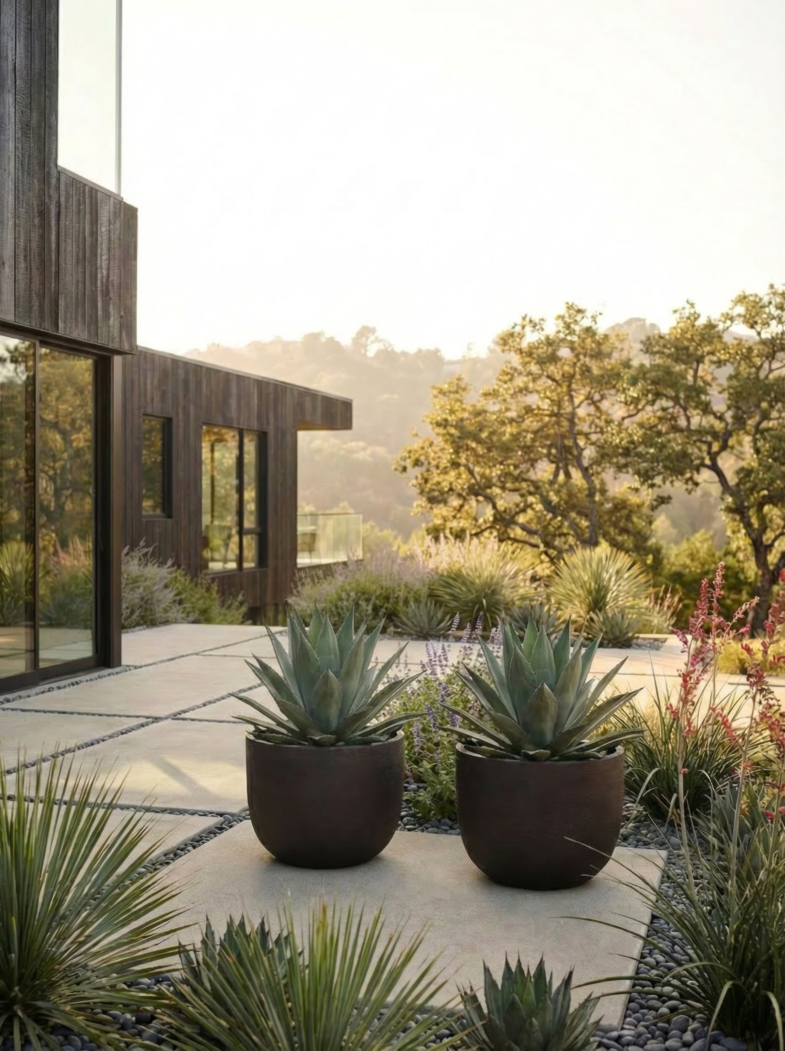 Perugia_4k_72dpi - 2026-02-19T222159.407.jpg