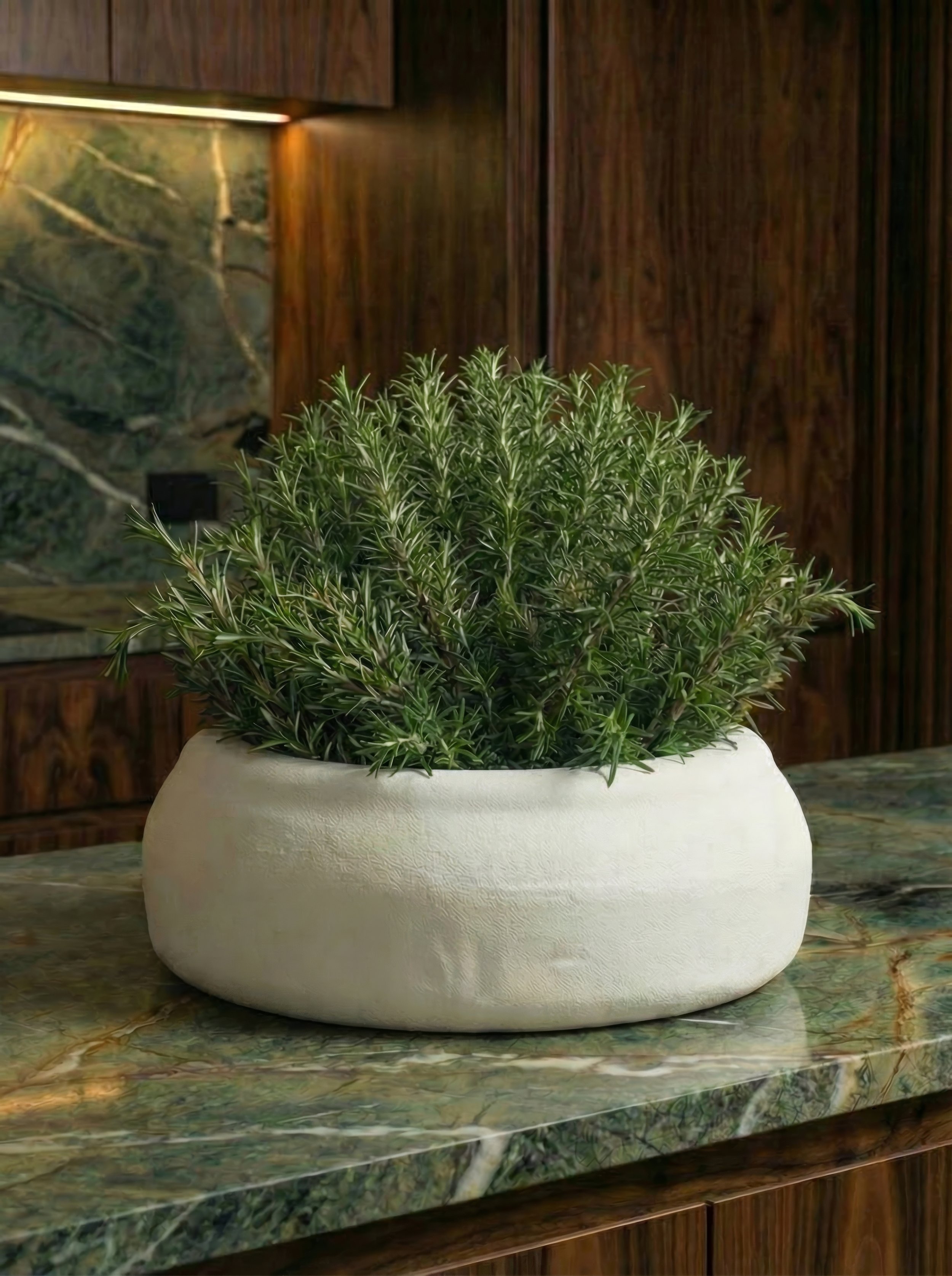 Imola _ _4k_72dpi - 2026-02-19T225704.946.jpg