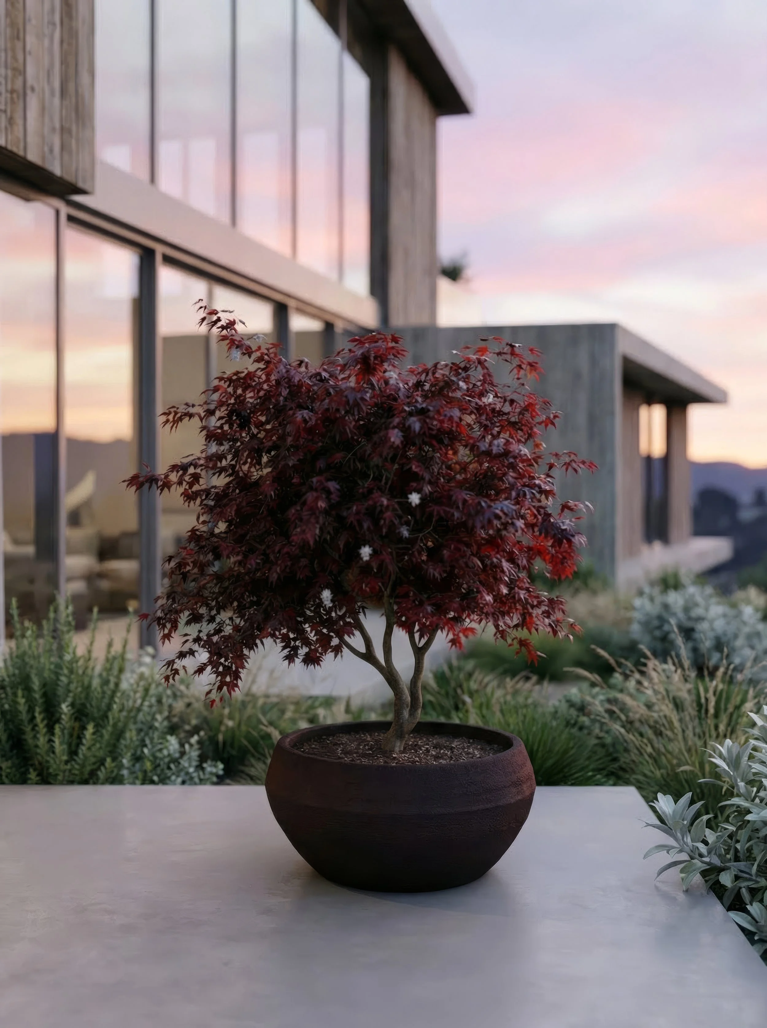 Parma 4k_72dpi - 2026-02-18T221203.679.jpg