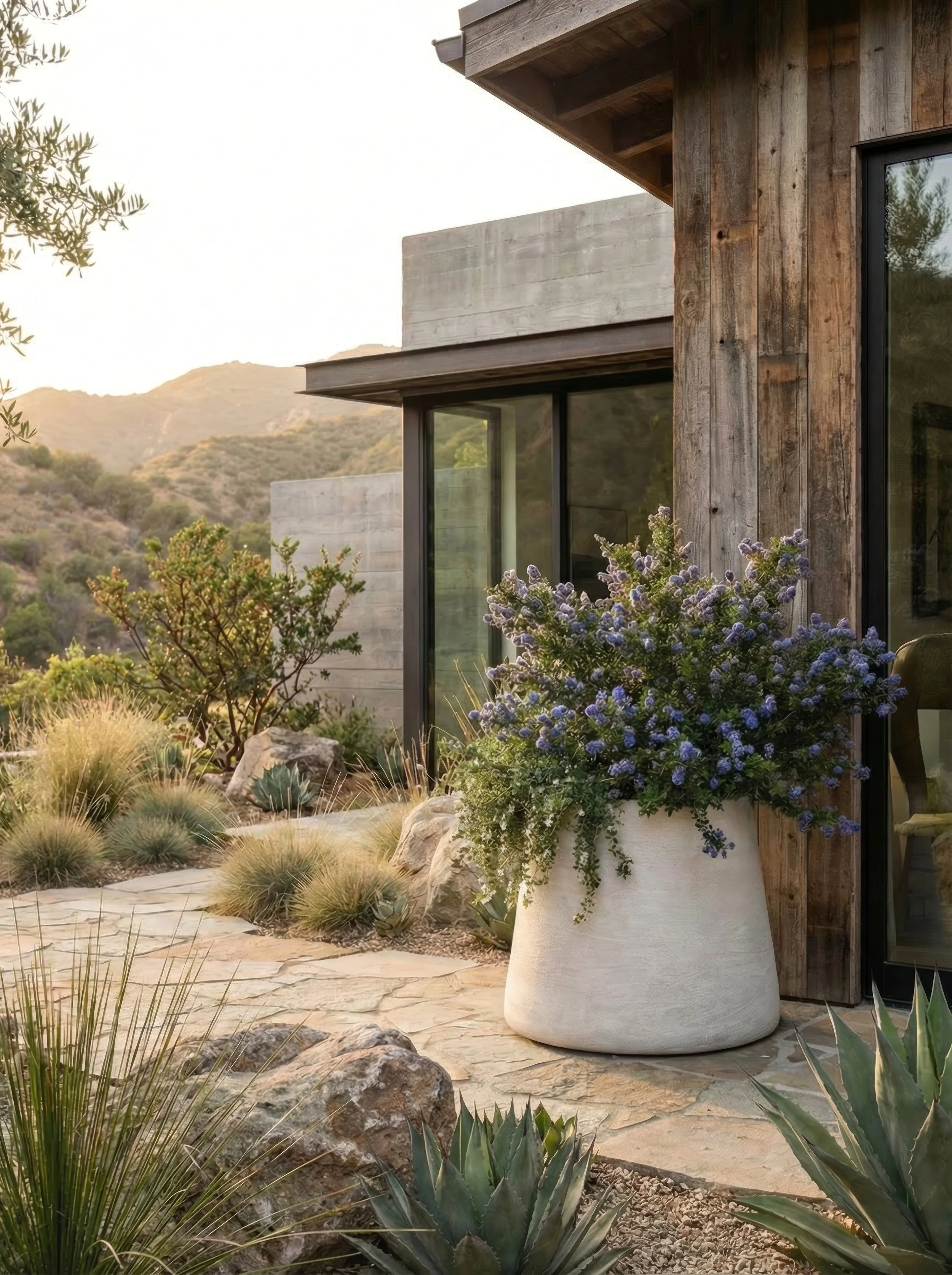 Coppa Beige - CA-4k_72dpi (38).jpg