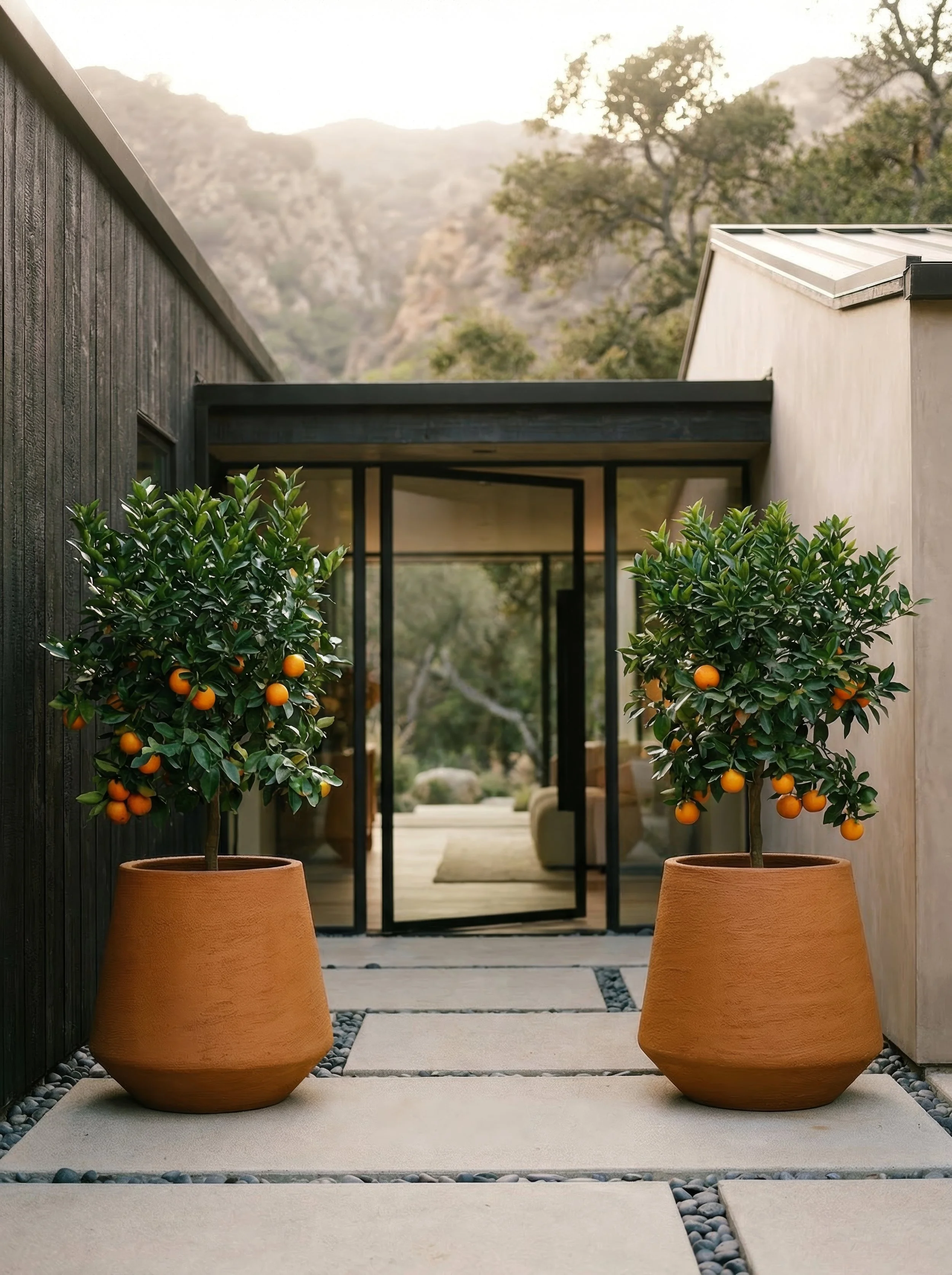 Lisbon Cognac_4k_72dpi - 2026-02-22T223752.777.jpg