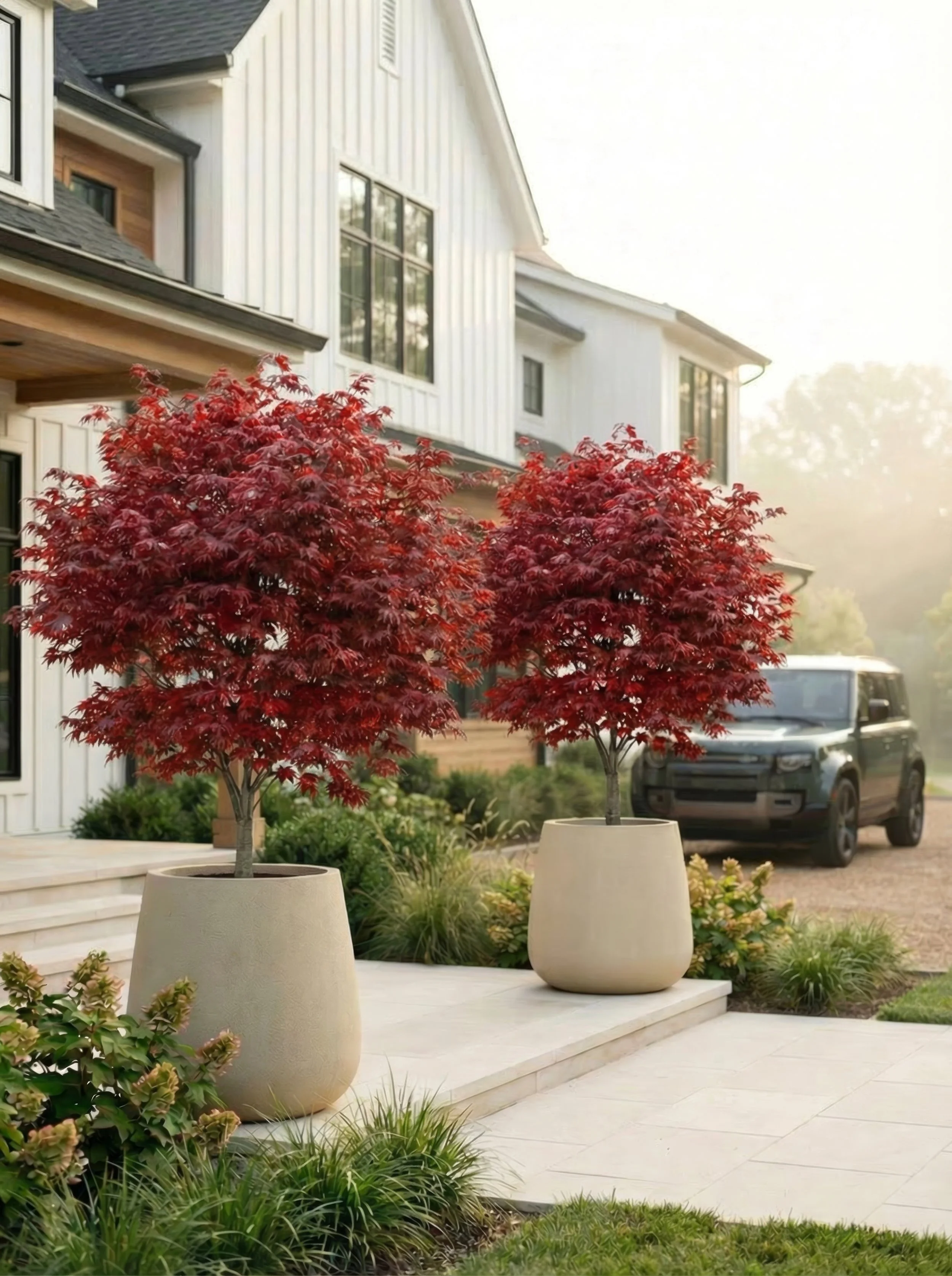 studio-image-upscaled_4k_72dpi (77).jpg