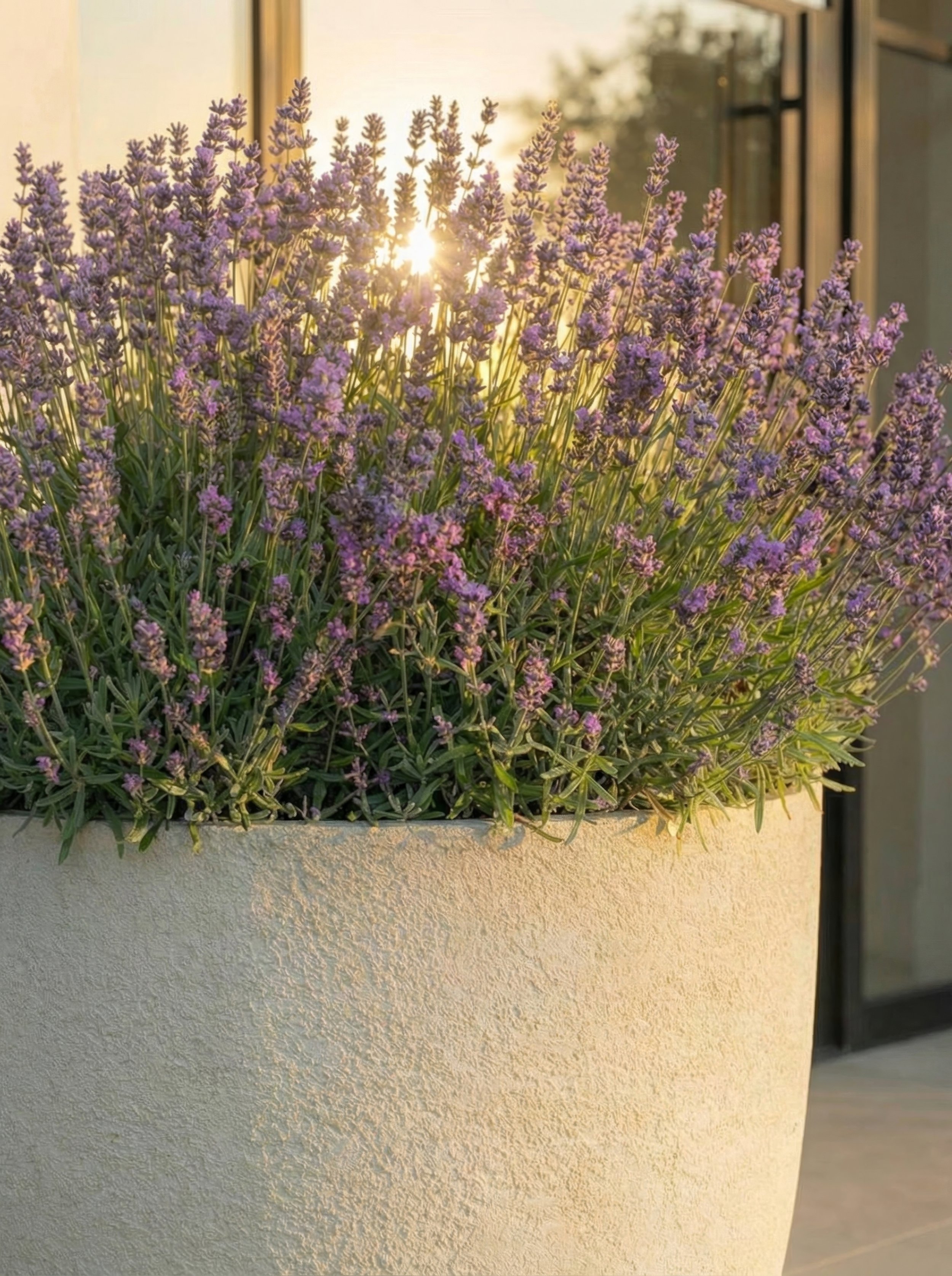 Quebec_4k_72dpi (55).jpg