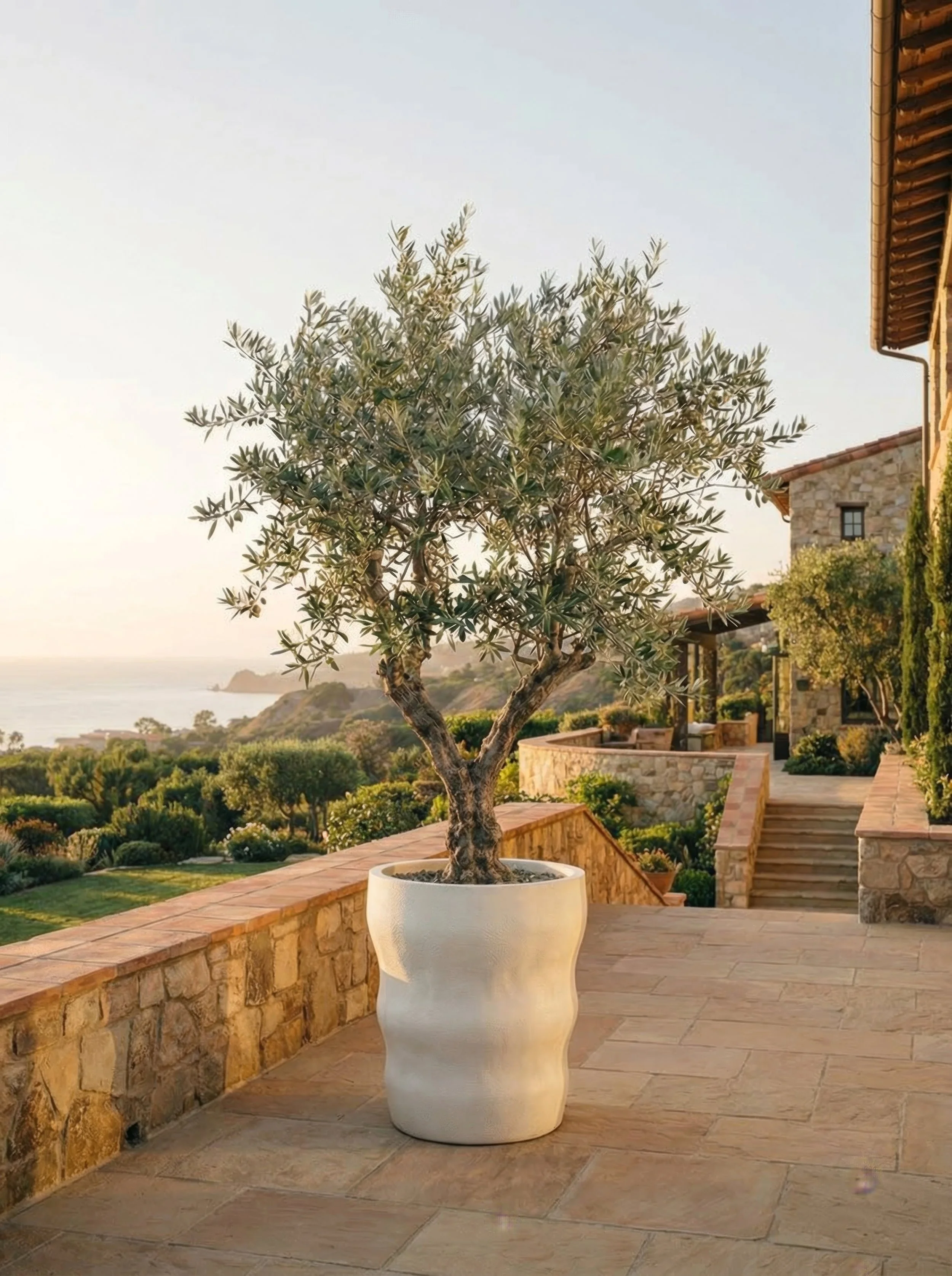 Roma_4k_72dpi - 2026-02-22T123356.040.jpg