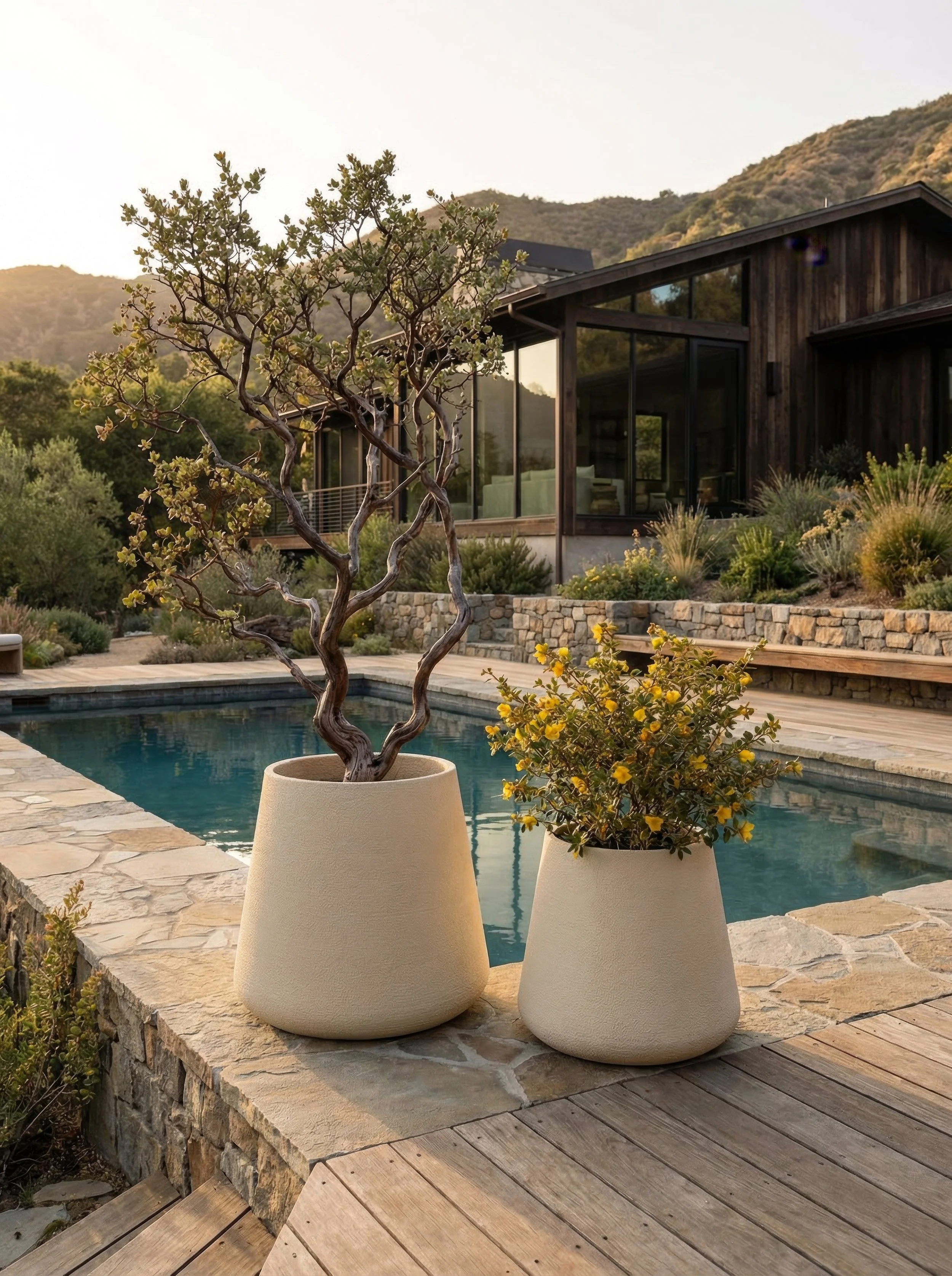 Coppa Small_4k_72dpi - 2026-02-27T213017.790.jpg