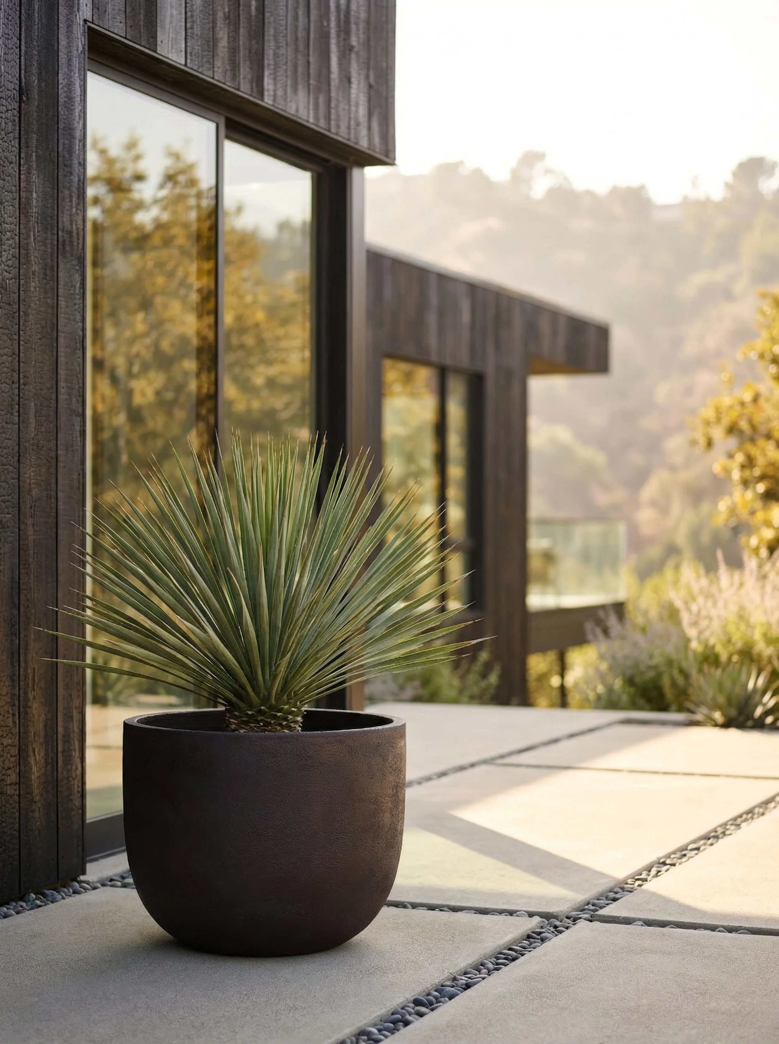 Perugia_4k_72dpi - 2026-02-19T221351.453.jpg