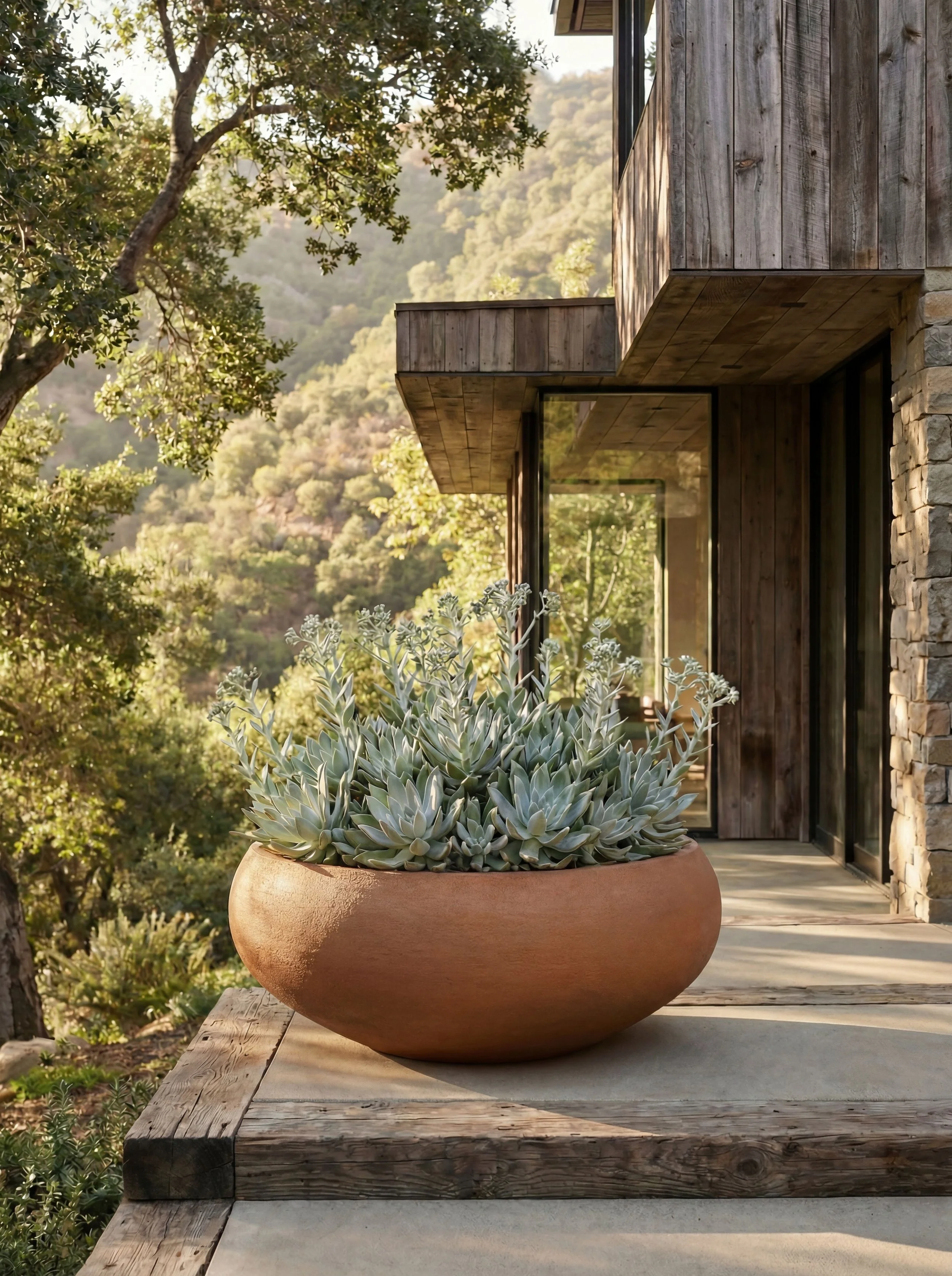 Potted succulent plant on a wooden porch overlooking a hilly, wooded landscape with trees and mountain in the distance.
