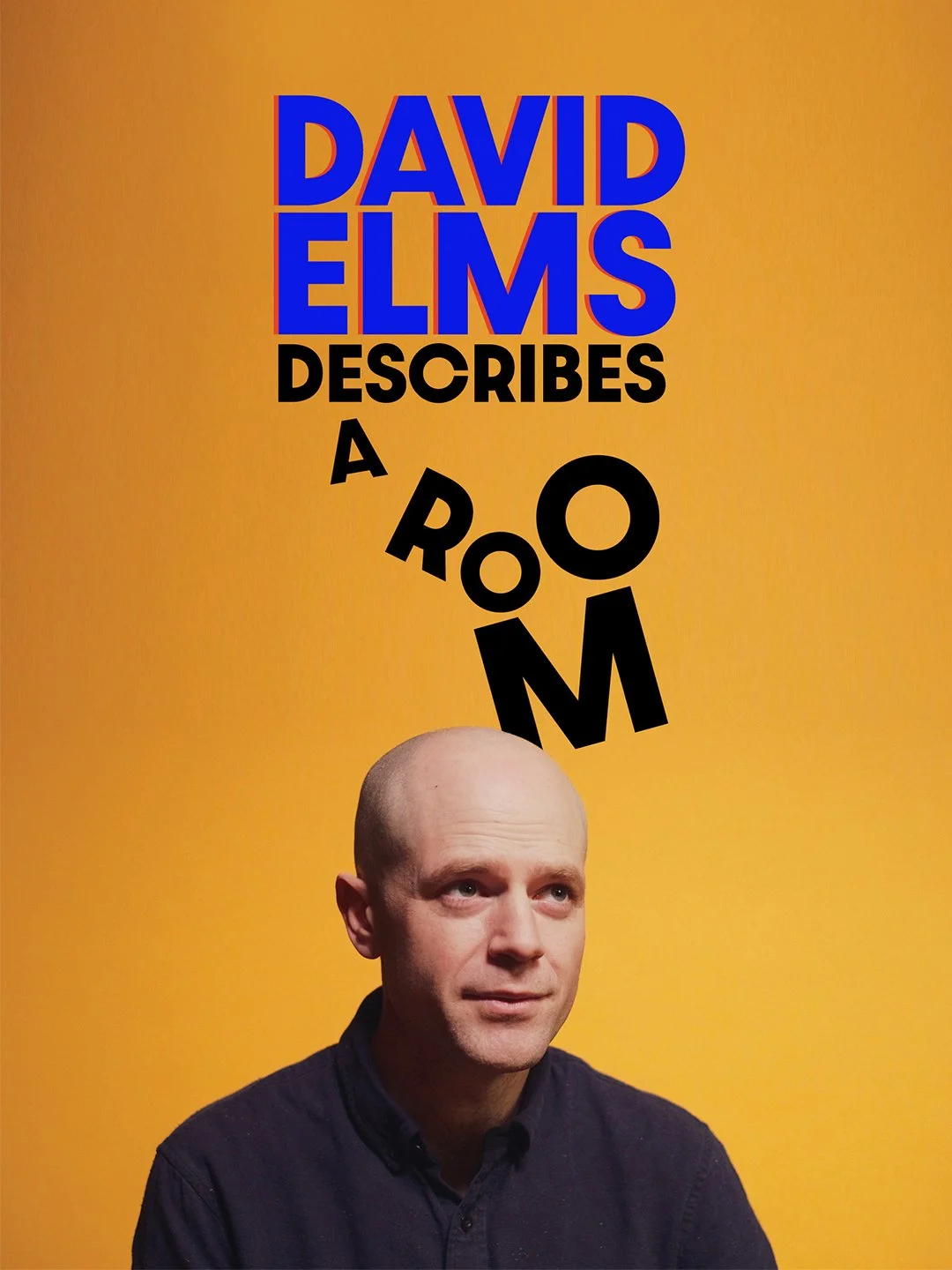 David Elms Describes A Room - Friday 23rd January @ 7.00pm