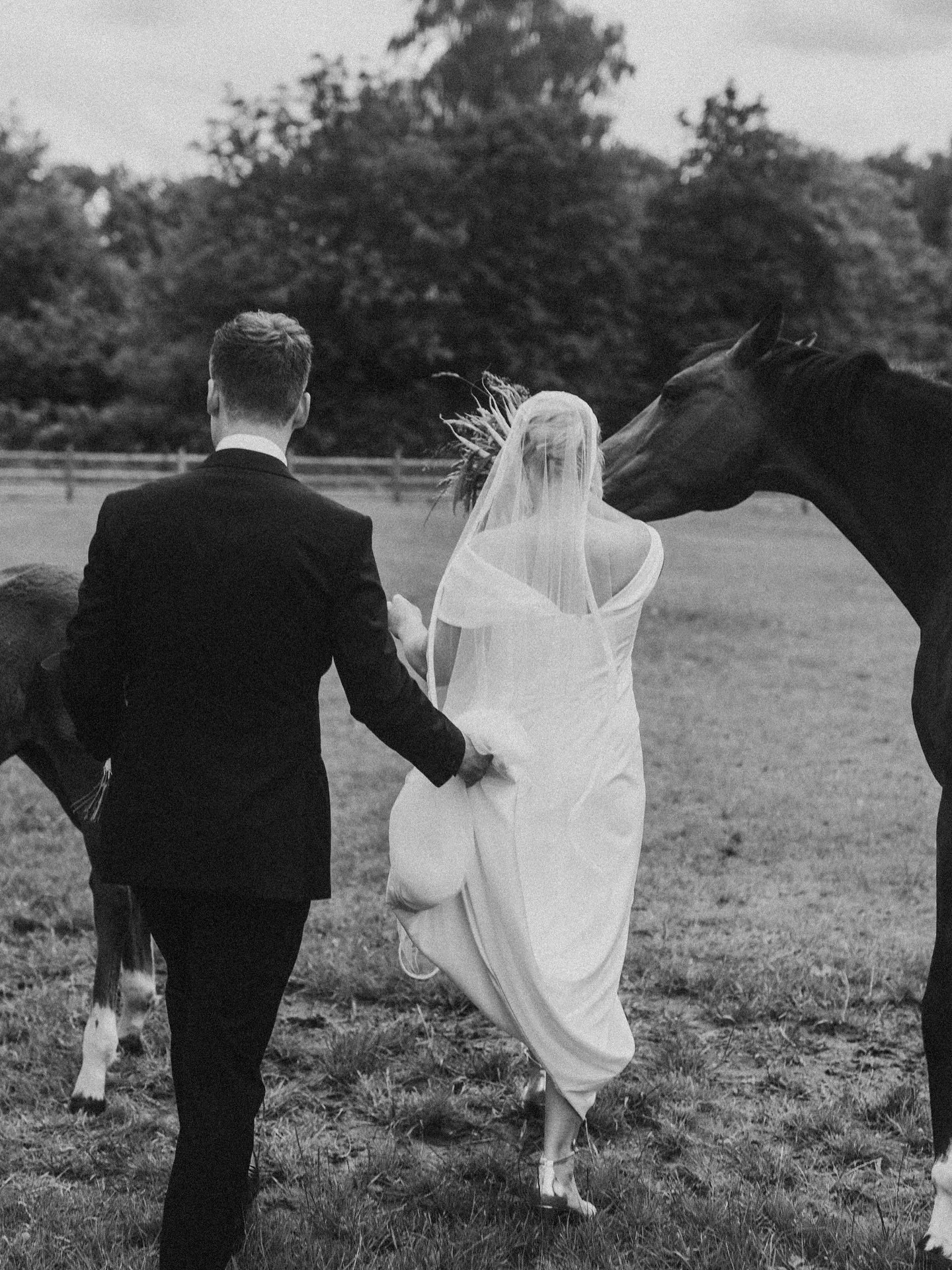 A horse ate the bride&rsquo;s wedding bouquet... 💐🐴 😂
⠀⠀⠀⠀⠀⠀⠀⠀⠀
This was a special bouquet for horses, and as you can see, it was a tasty hit nom nom nom 🐴
⠀⠀⠀⠀⠀⠀⠀⠀
I wouldn&rsquo;t mind seeing more animals at weddings. Which couple will surprise