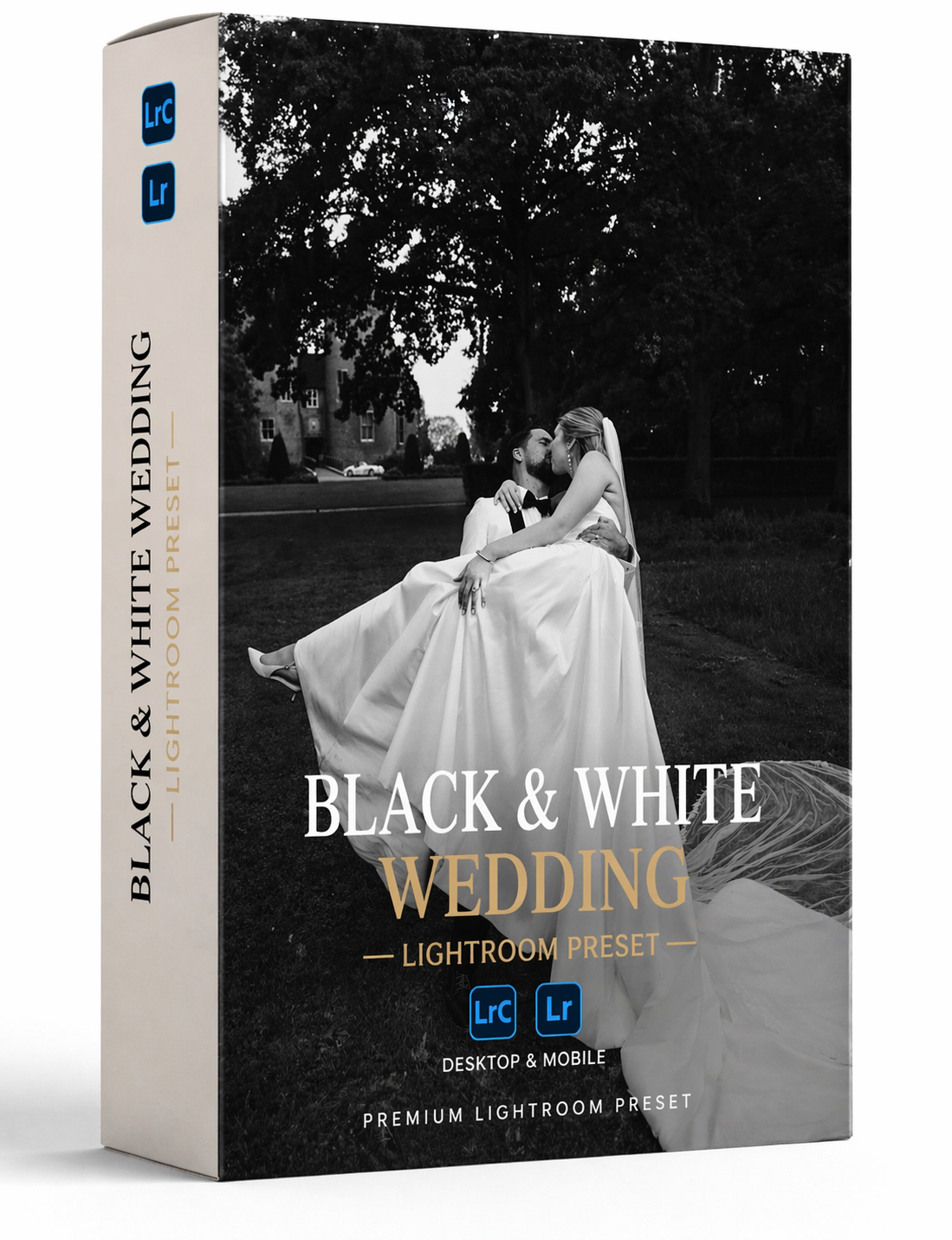 Black and White lightroom presets - Roy van der Wens.png