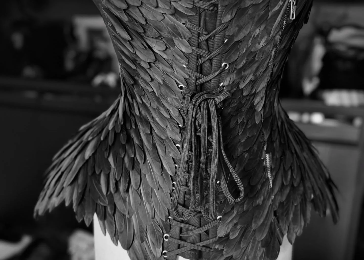 Bespoke Feather Corset designed and fabricated by Raven Kauffman.