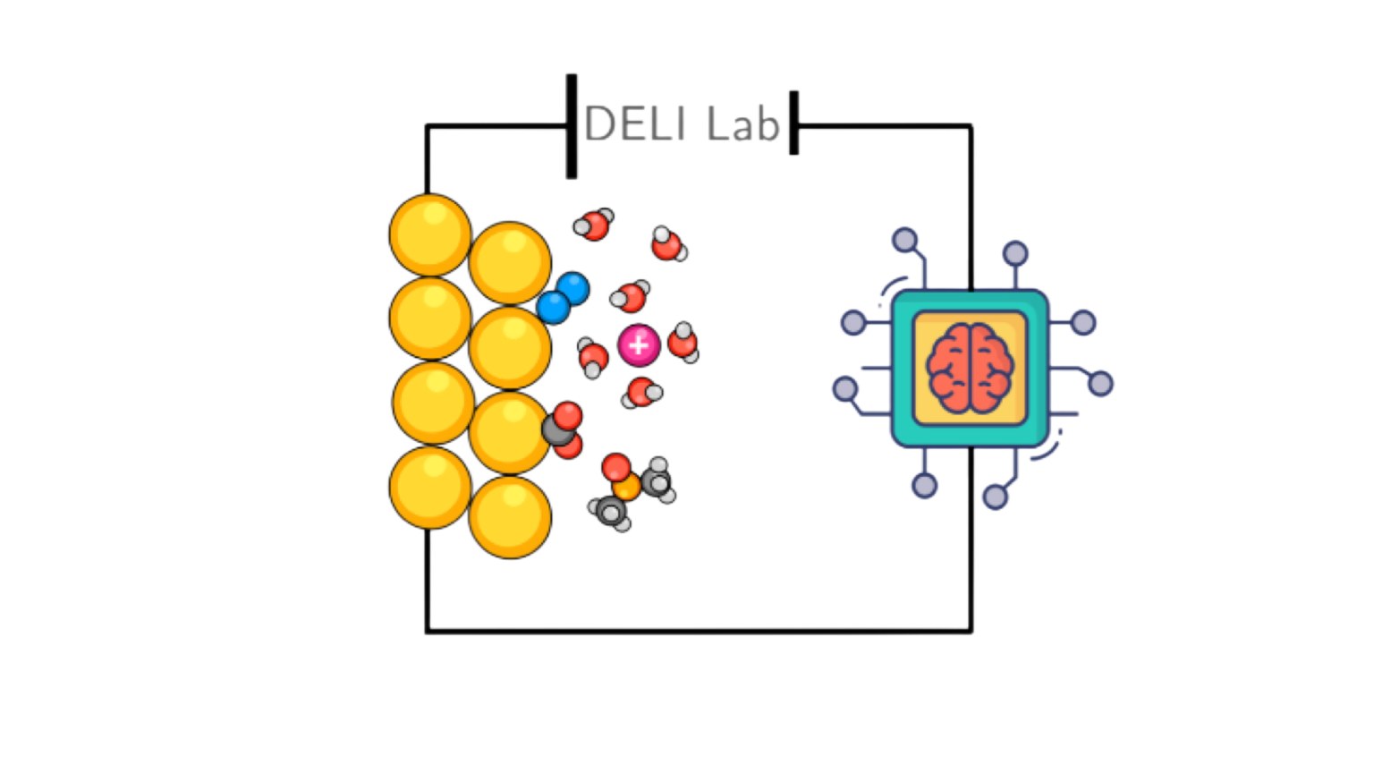 DELI Lab