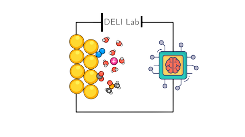 DELI Lab