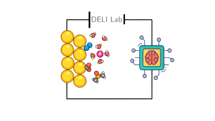 DELI Lab