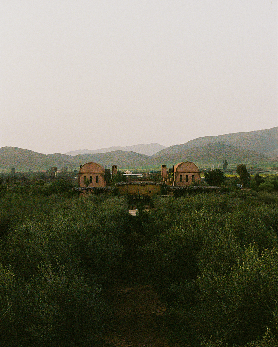 Guilherme Furtado-221-3.png