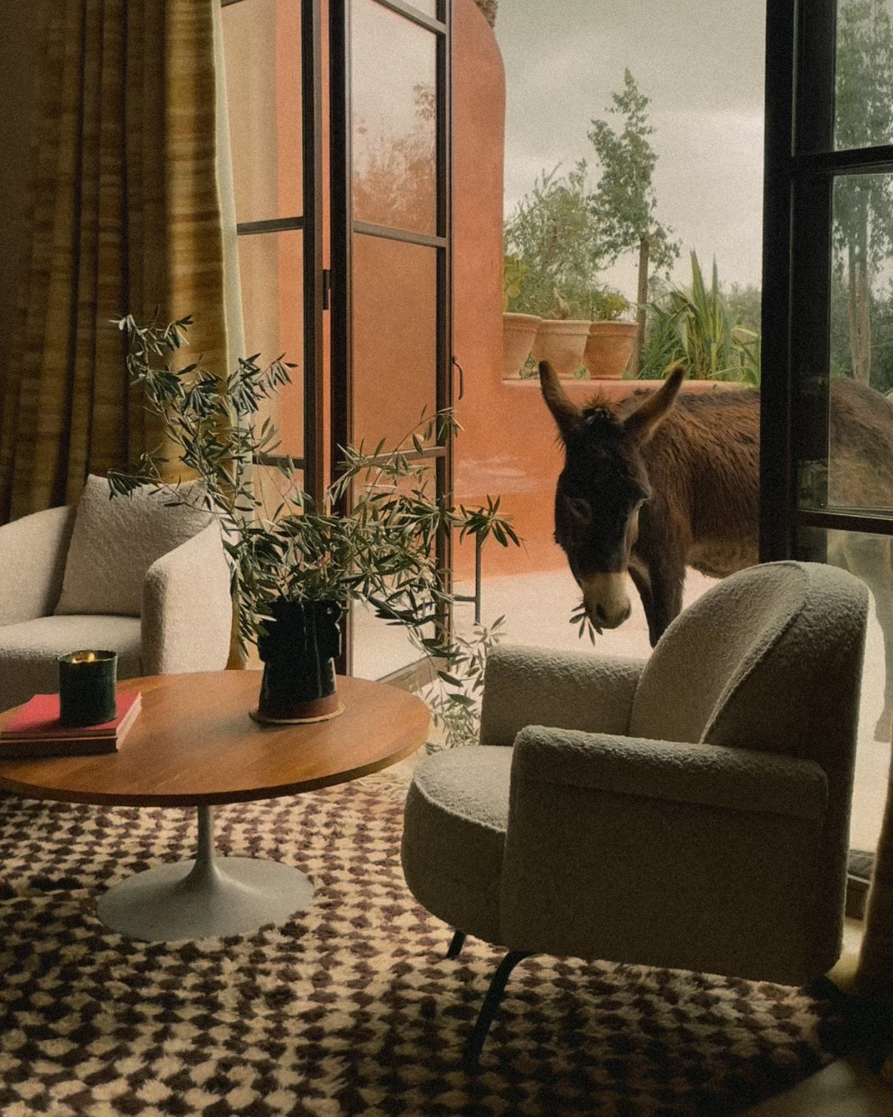 Captura de ecrã 2026-04-08, às 19.40.03.jpg