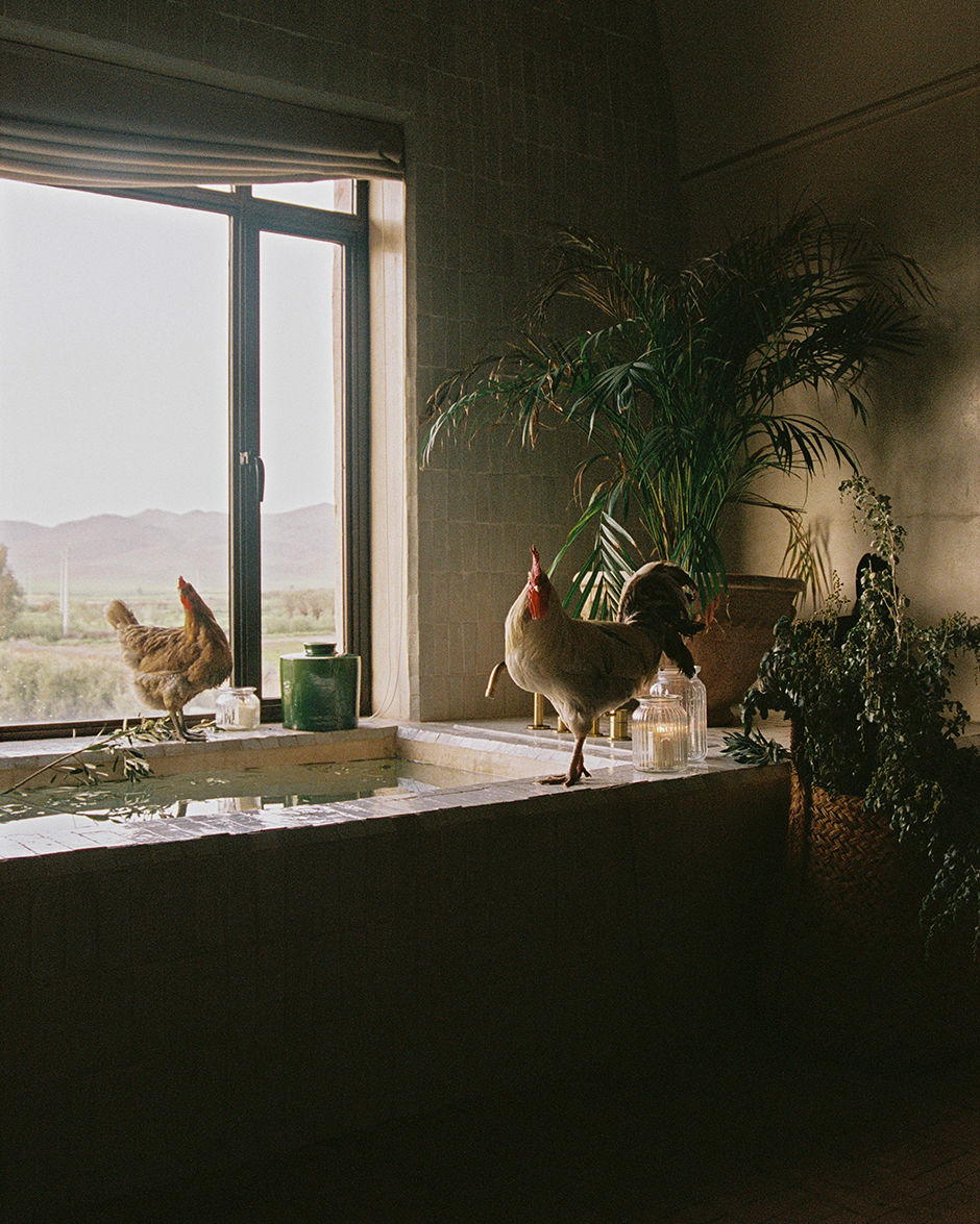 Guilherme Furtado-225.png