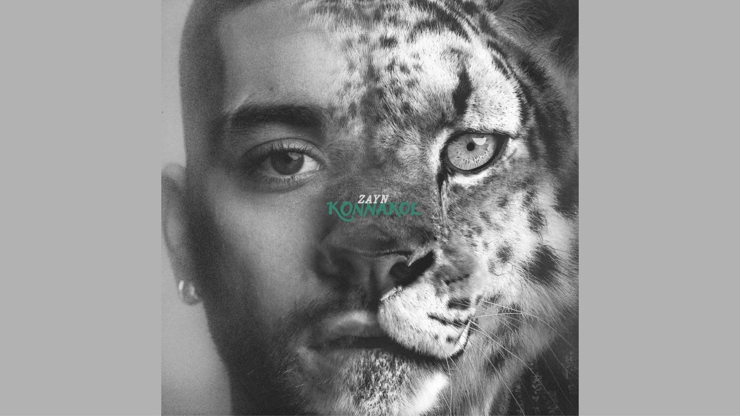 Zayn - Konnakol