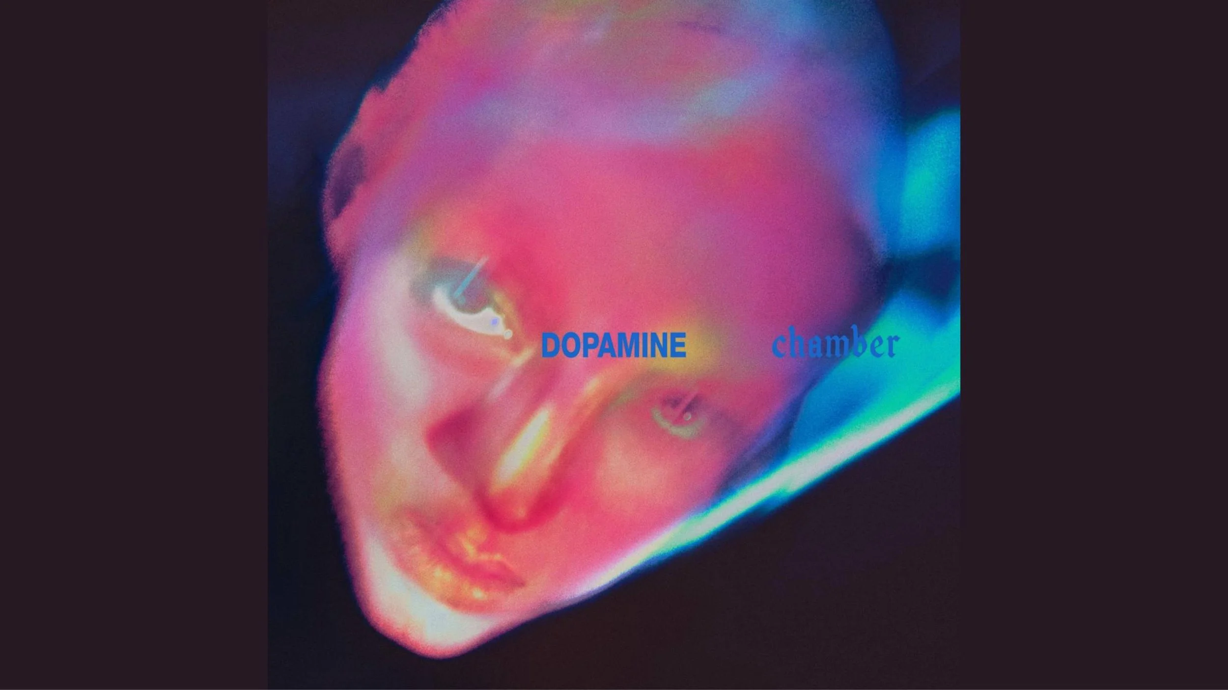 Fontaines D. C. - Dopamine Chamber