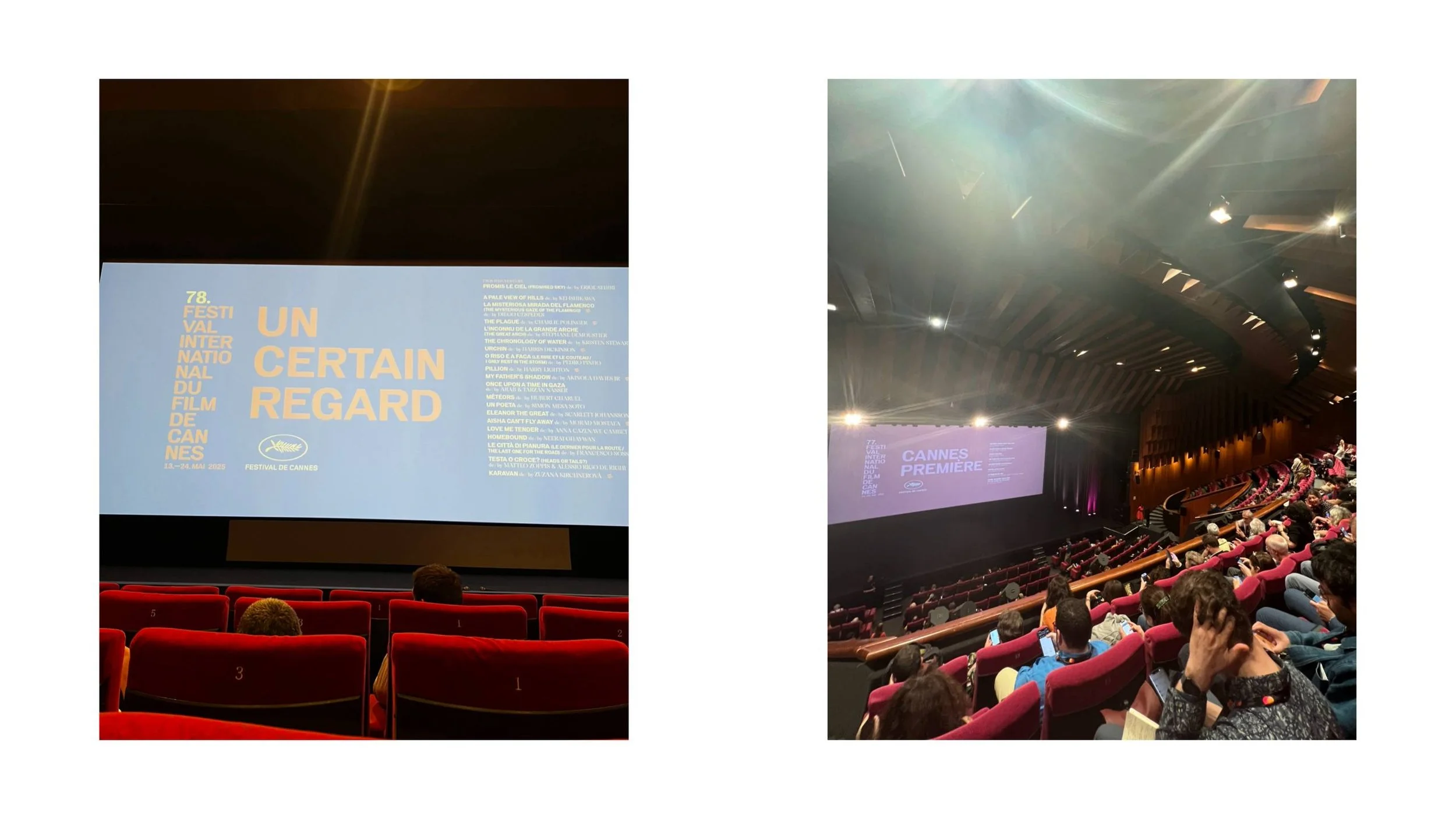 Cannes Film Festival Cinemas Lumiere Debussy