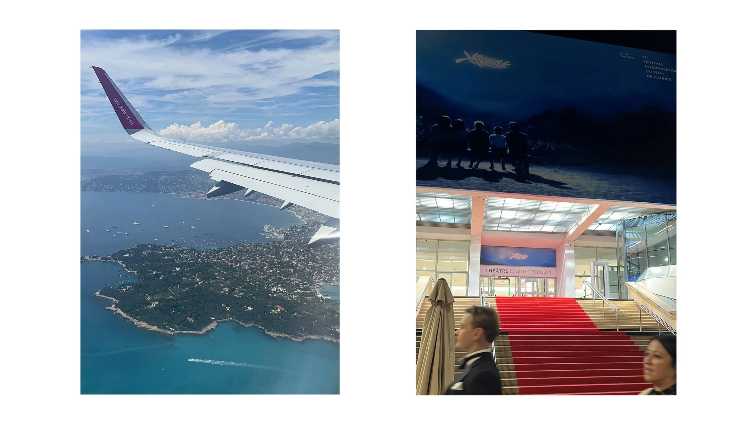 Cannes Film Festival Guide