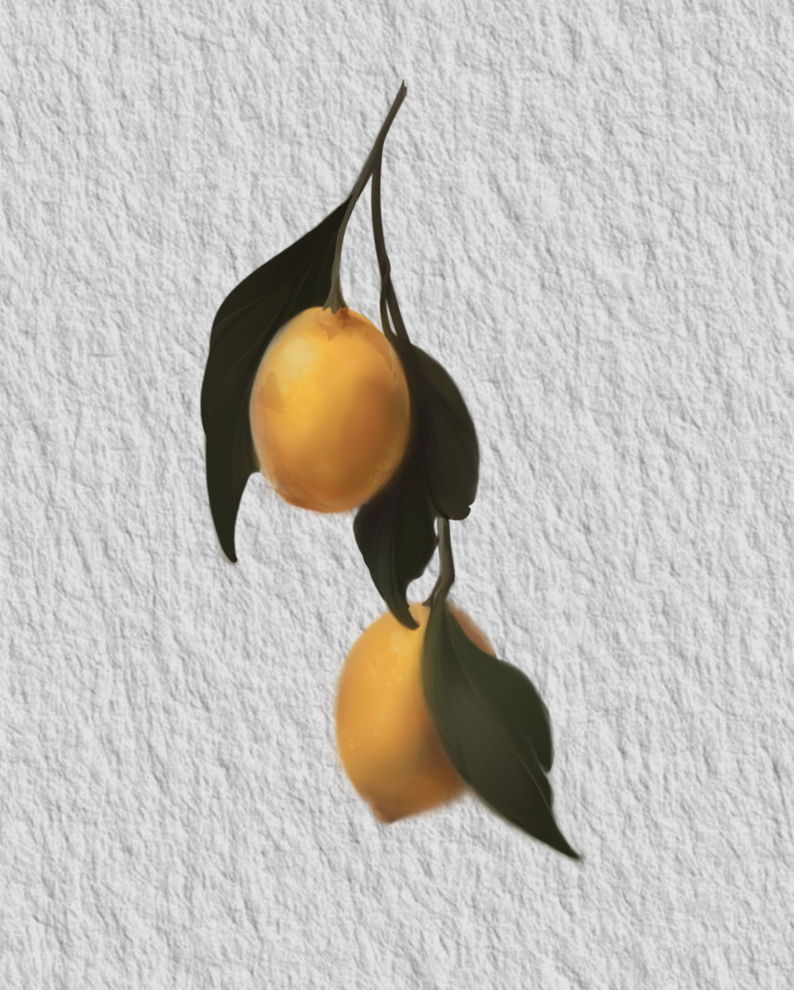 IMG_3063.PNG