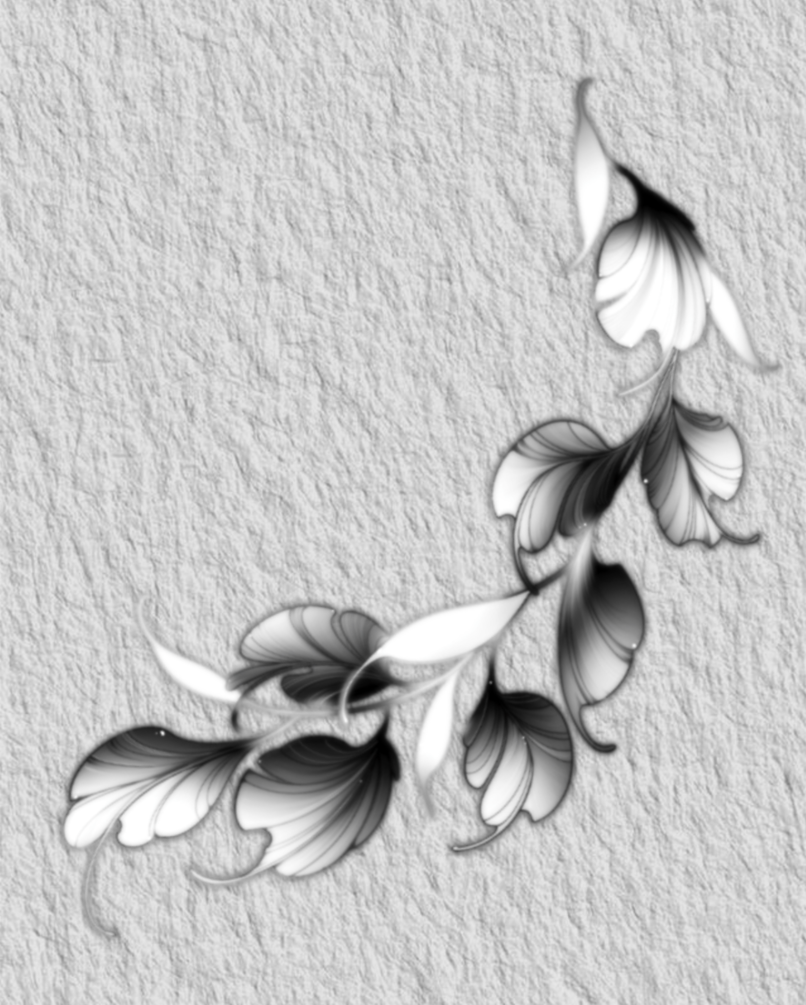 IMG_2435.PNG