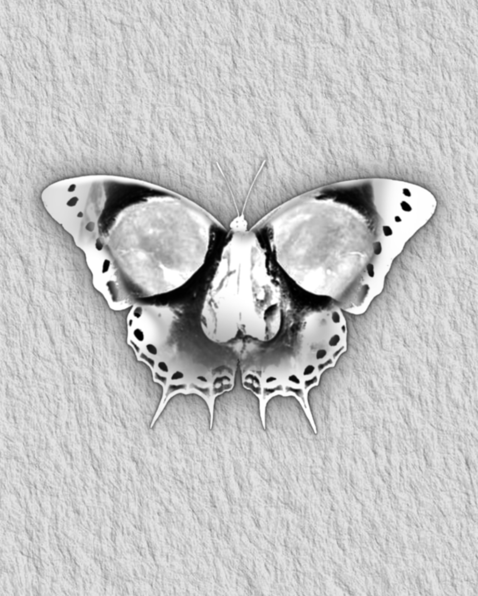 IMG_2432.PNG