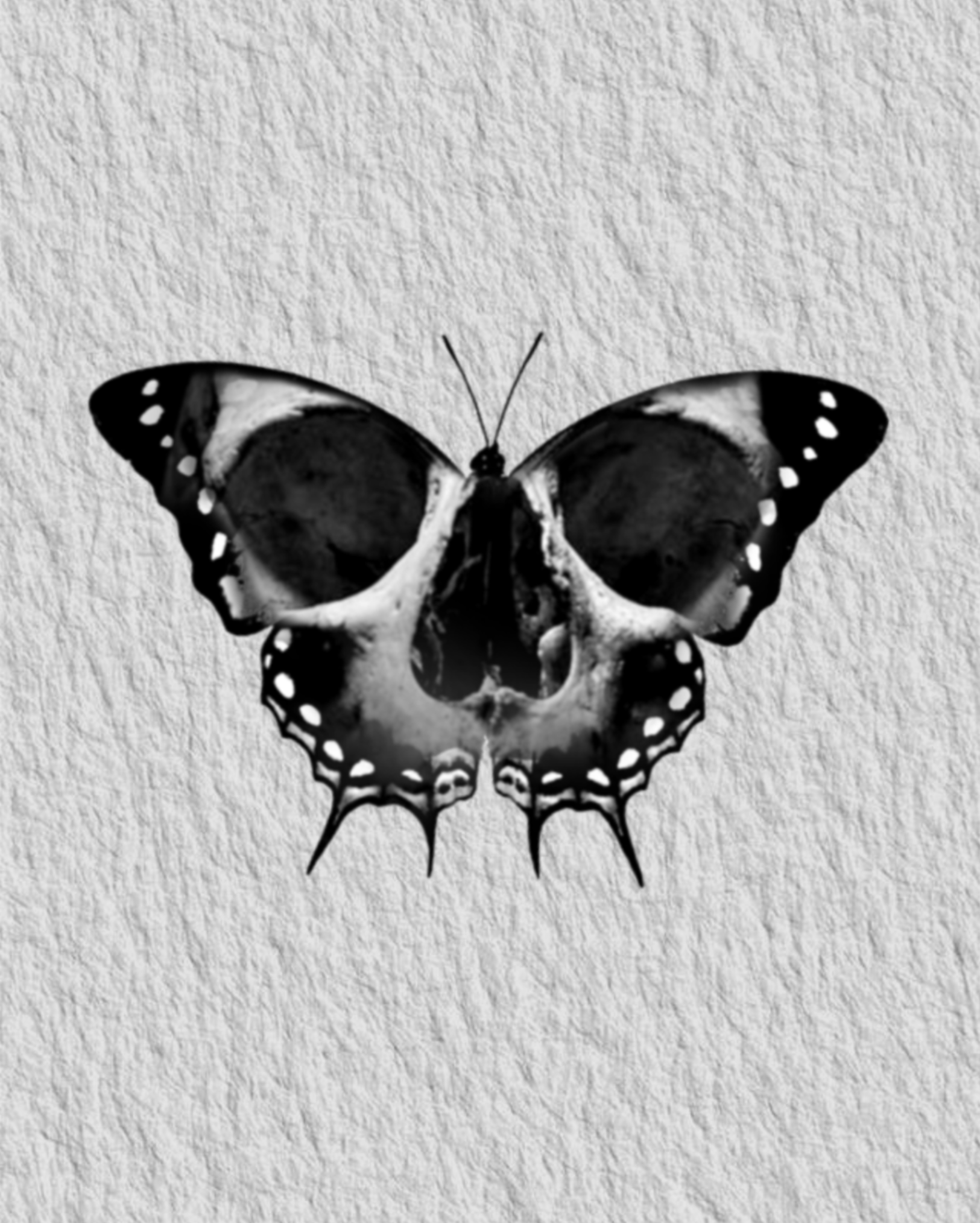 IMG_2434.PNG
