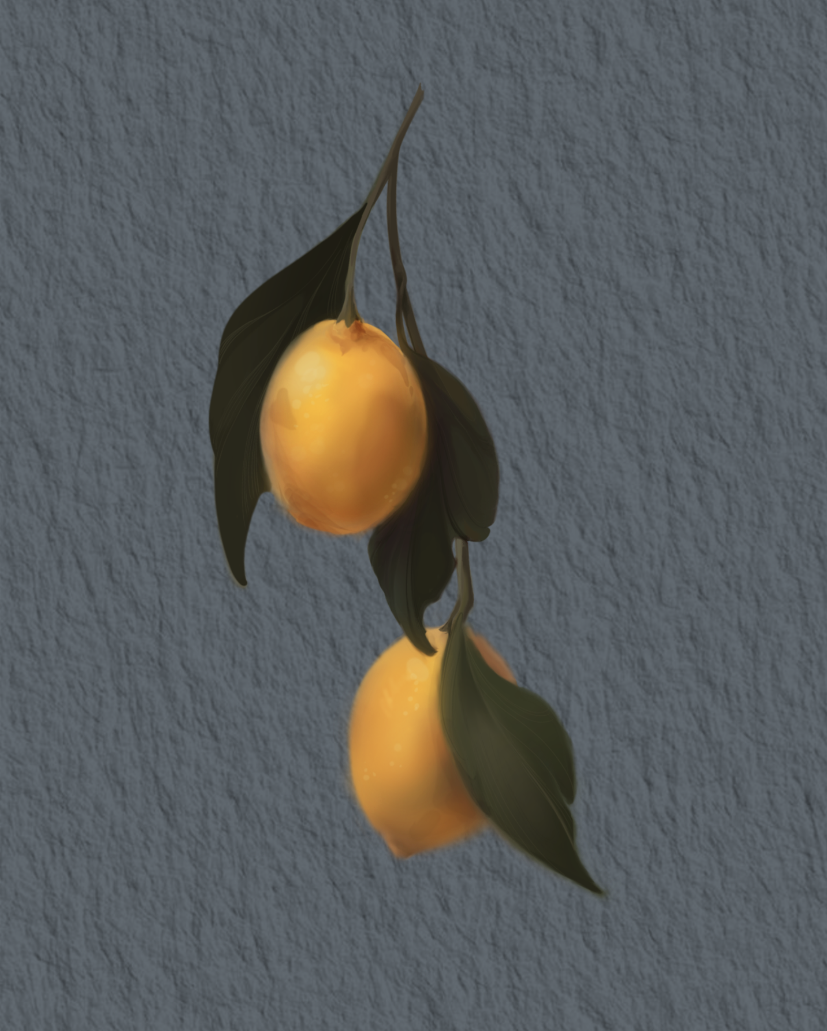 IMG_3069.PNG