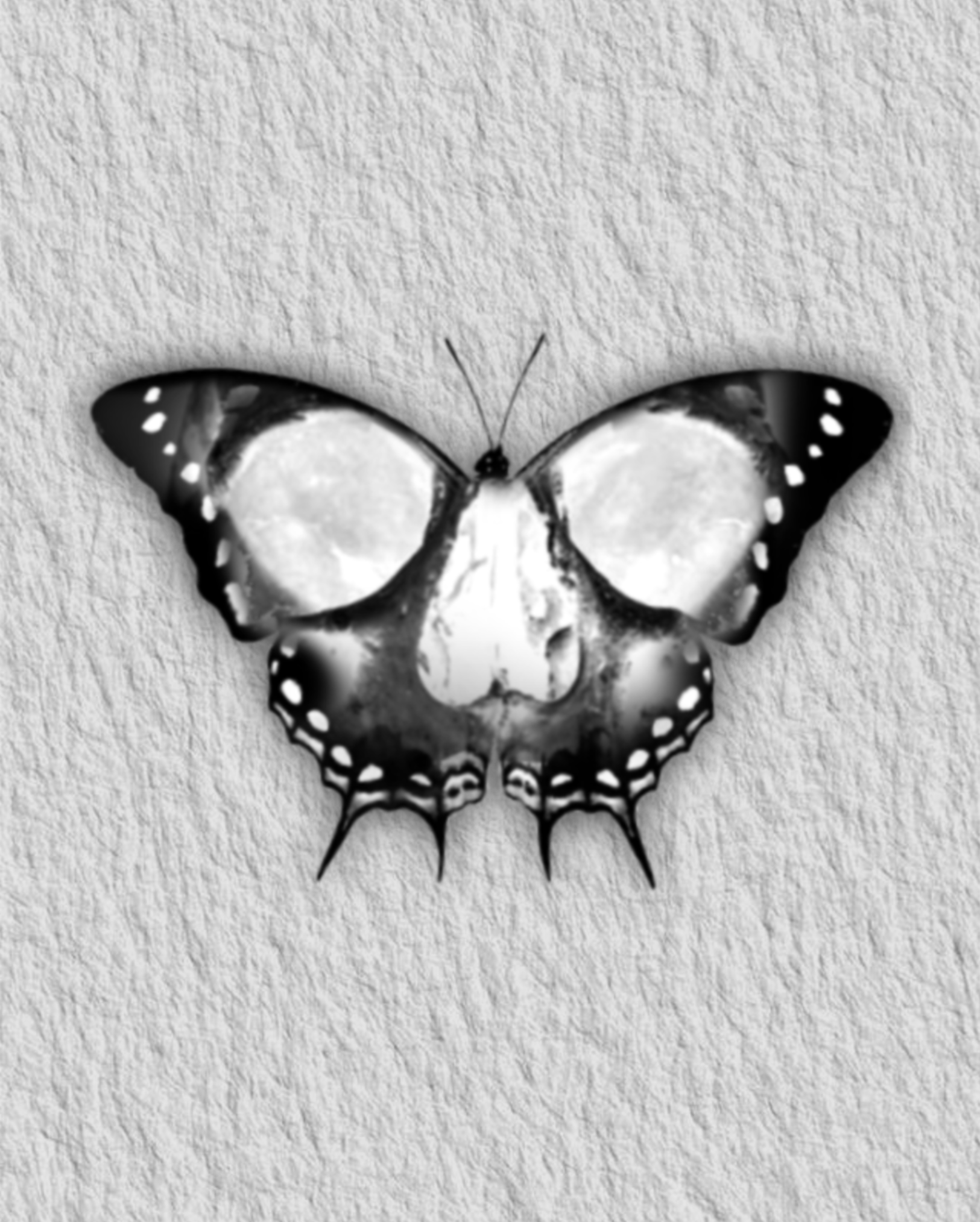 IMG_2433.PNG