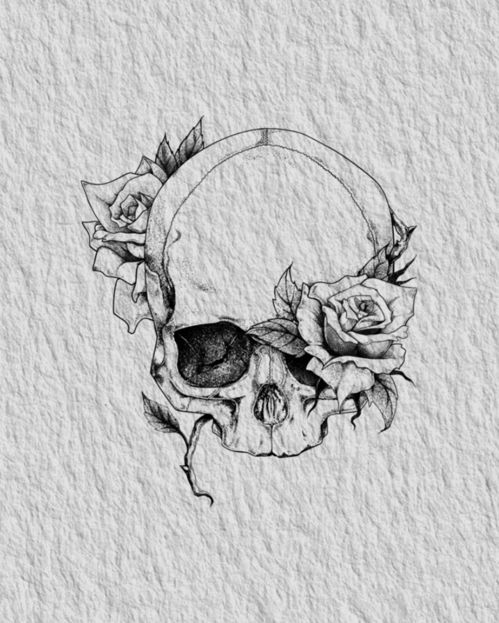 IMG_2402.PNG