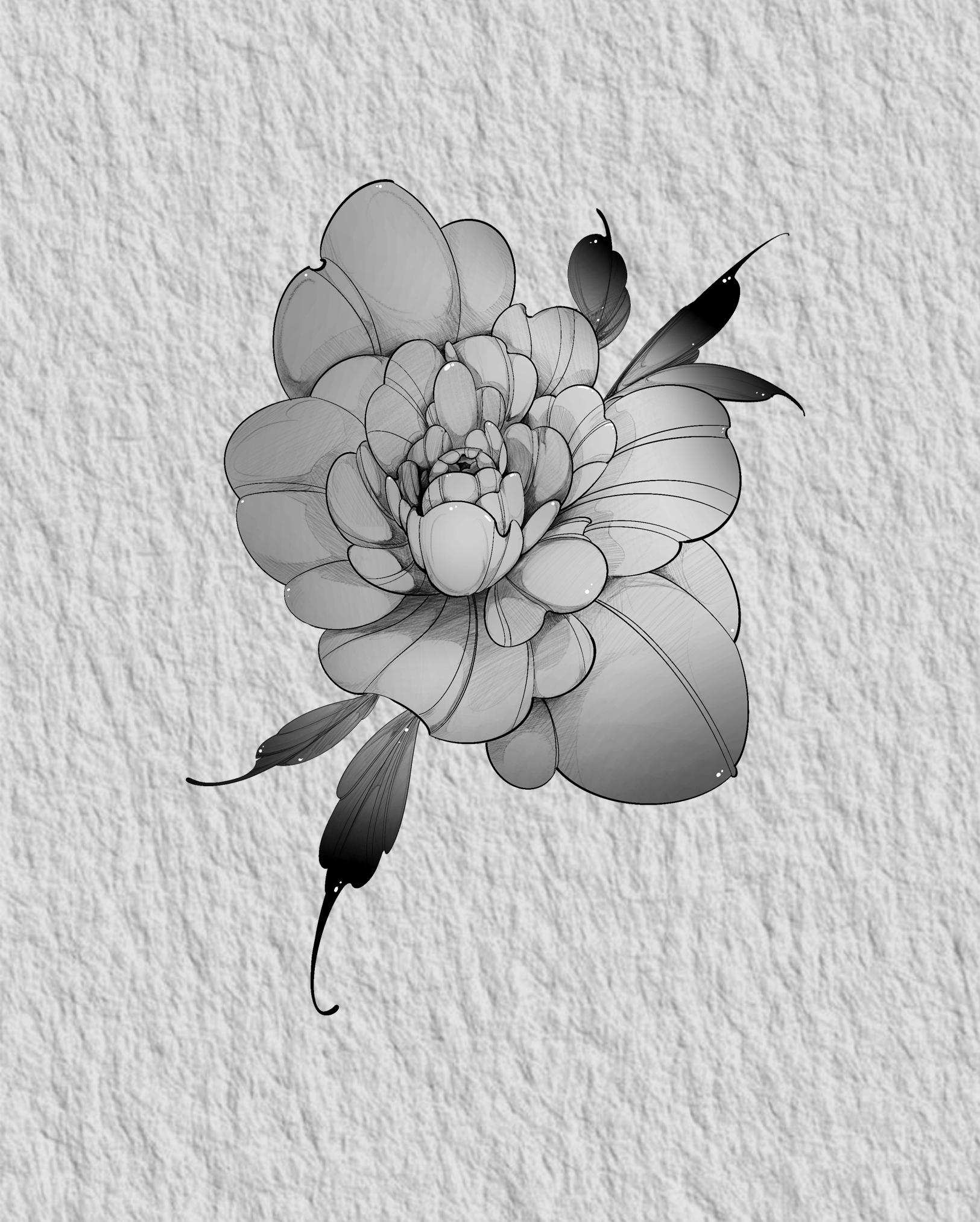 IMG_2817.PNG
