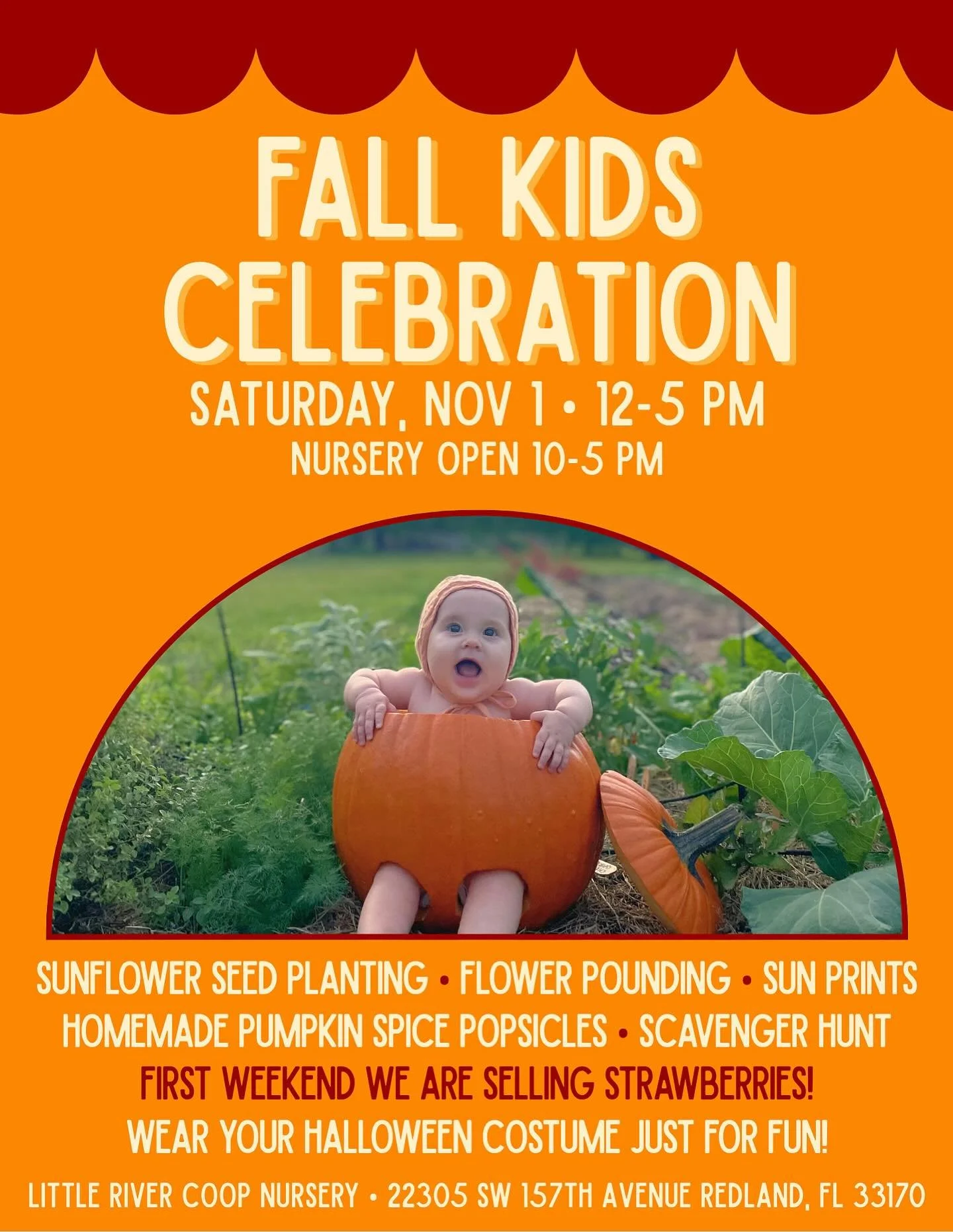 Surprise! I&rsquo;ll be making my debut at @littlerivercooperative Fall Kids Celebration. 🎃

Join in on the fun and participate in seed planting, flower pounding, scavenger hunt, and a sun print station hosted by yours truly! ☀️

I can&rsquo;t wait 