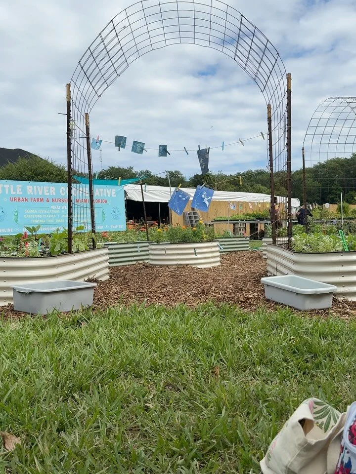 Plants + sunprint paper + a splash of water = a unique natural masterpiece 🌸

I was so pleased to introduce this activity to the families visiting @littlerivercooperative this past weekend!

It&rsquo;s always a good time when I can interact with lea