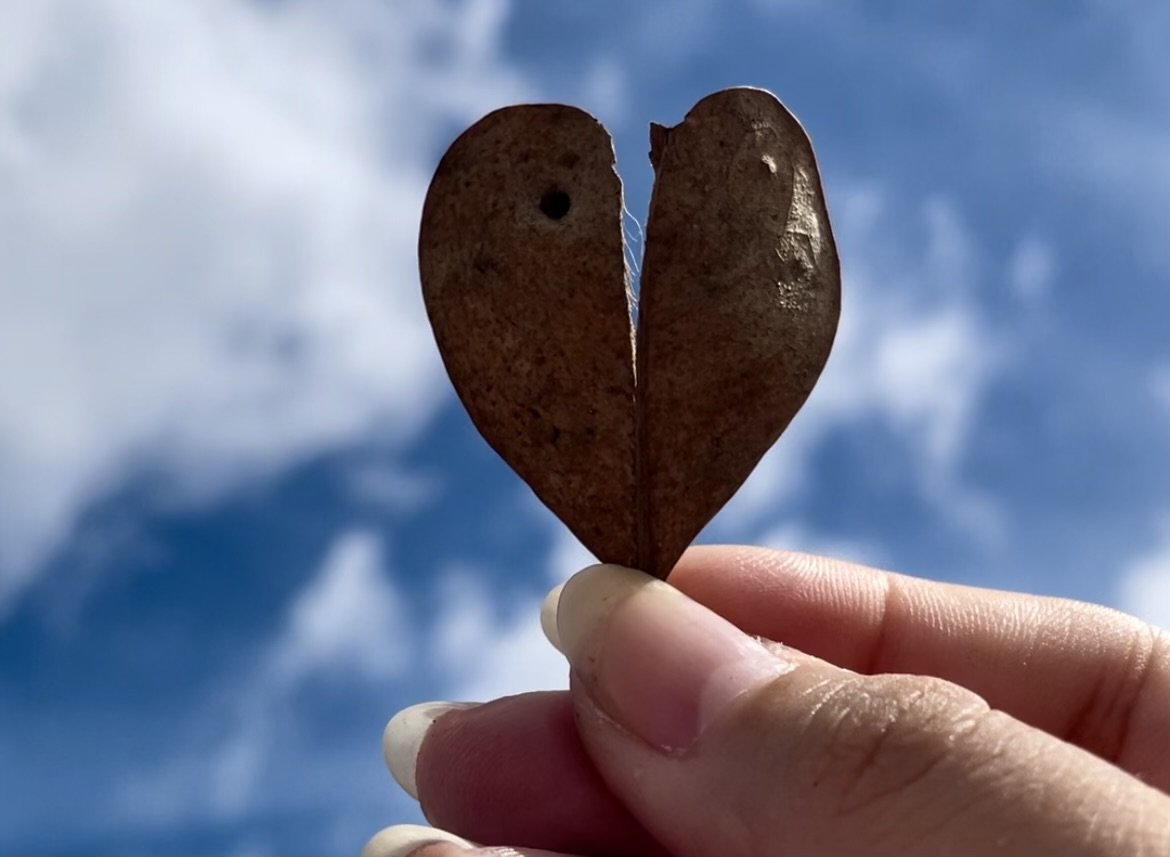 Cafecito & Connections with Latinas in STEM
