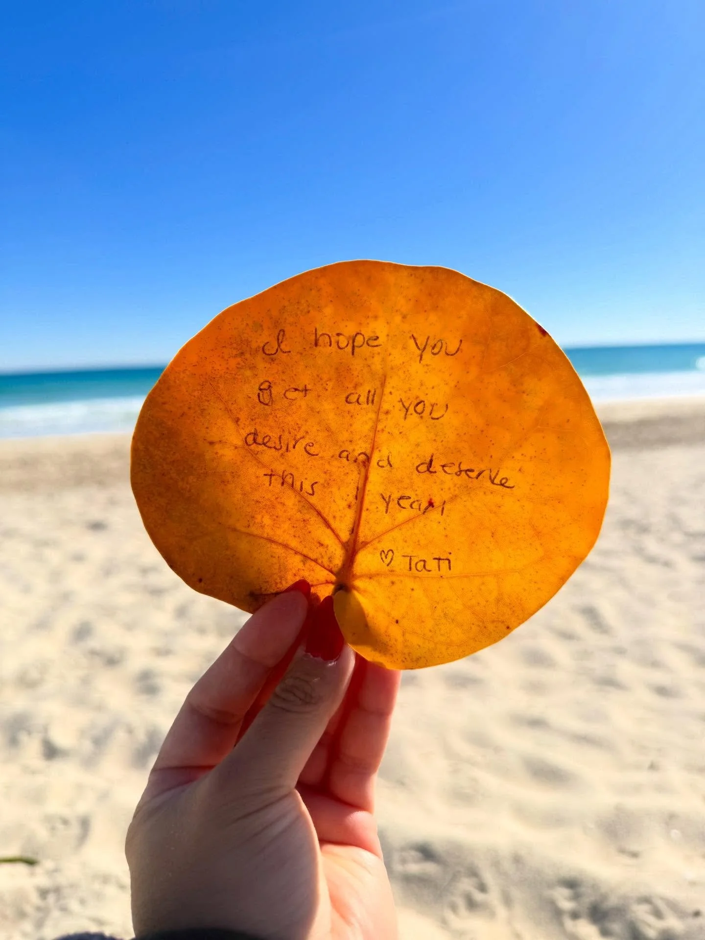 Happy first Monday of 2026! 🥰 

I hope this year brings you all that you desire and deserve. 🌿