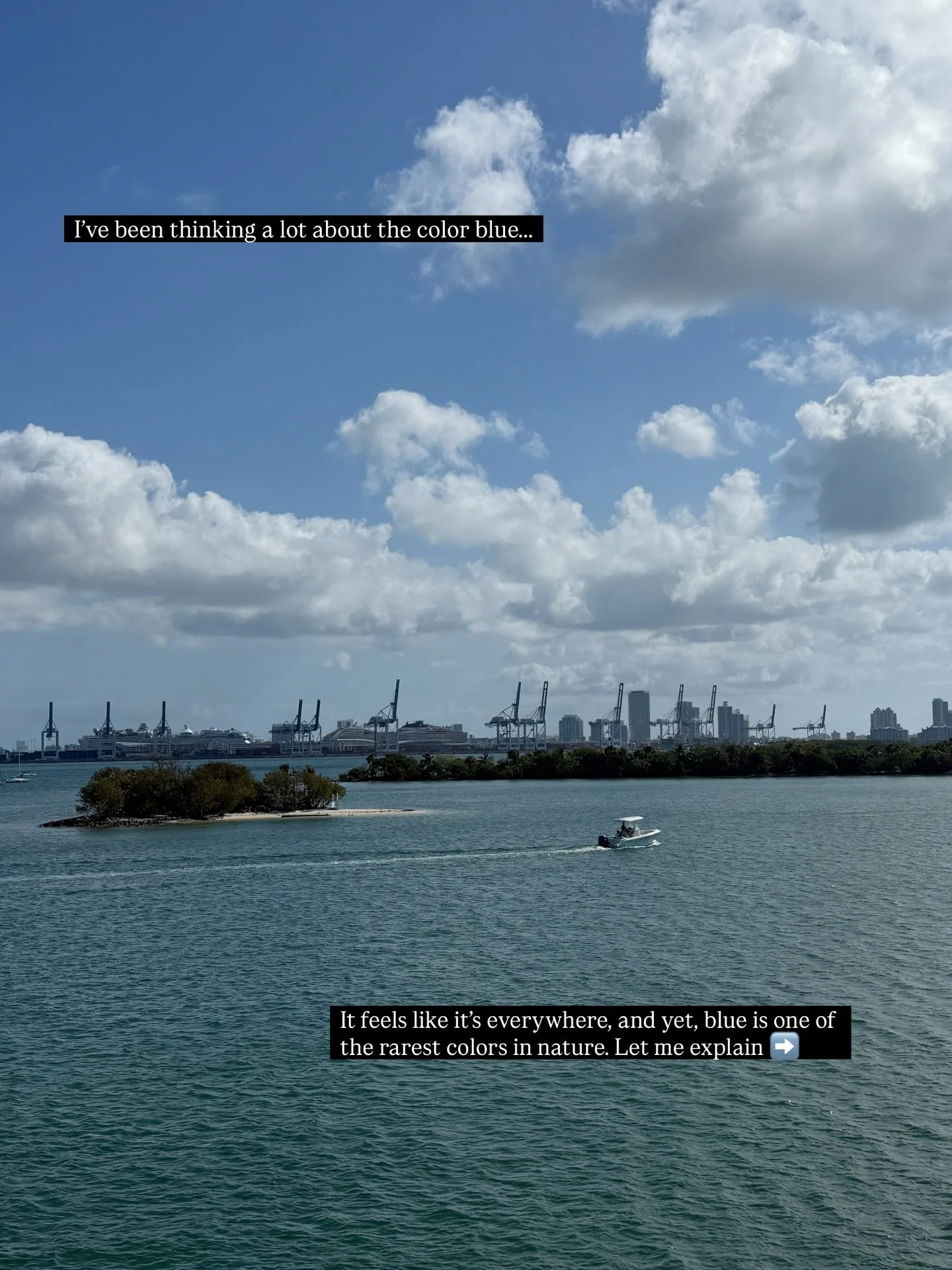 I&rsquo;ve been feeling blue&hellip; the color blue, that is! 💙

Did you know that only 10% of the world&rsquo;s plants can create the color we most often see in the sky?

We should consider ourselves lucky for when we spot a blue jay, blue morphine