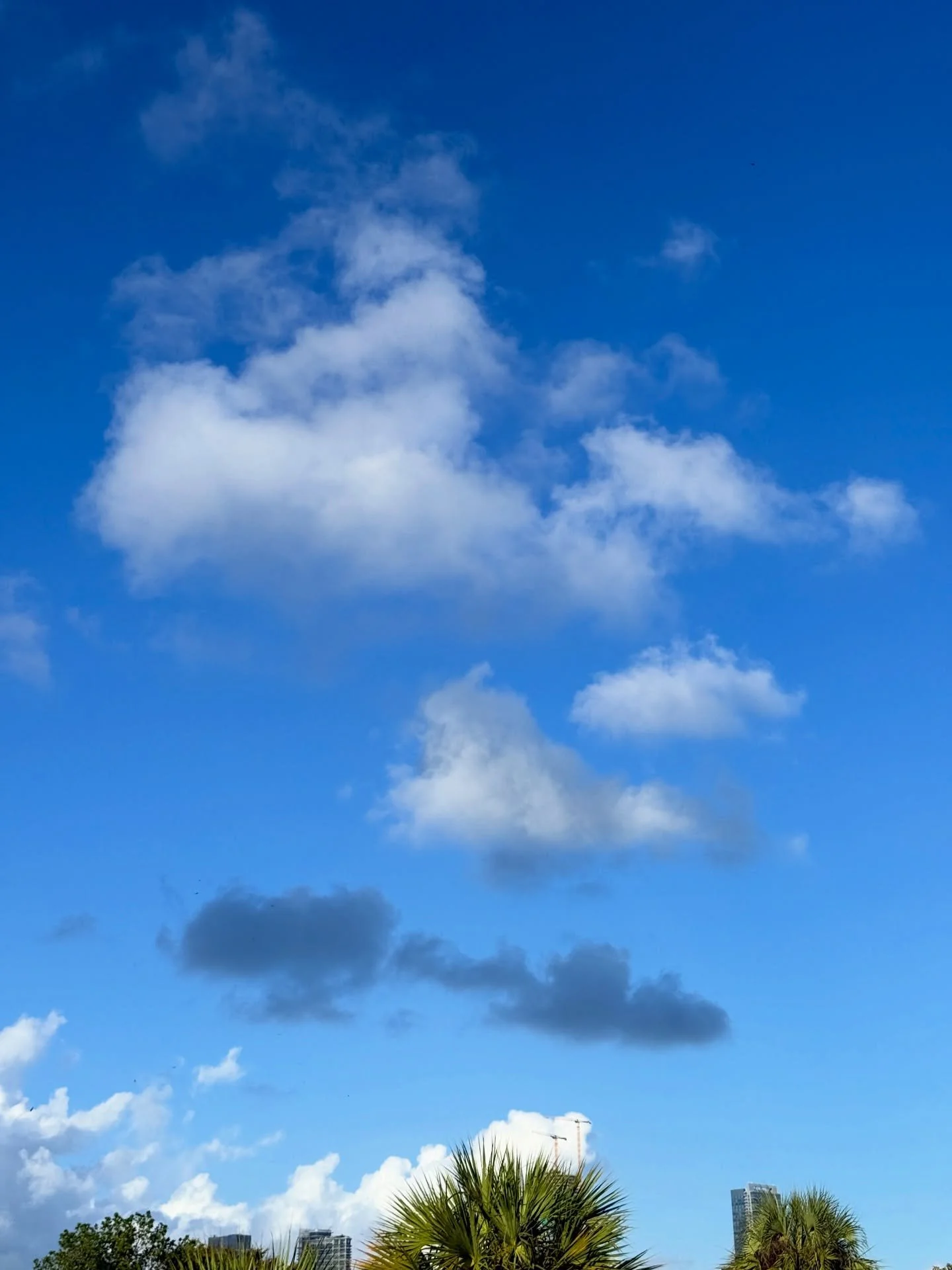 When I stop to observe nature, I find magic in every corner! ✨

The art of observing isn&rsquo;t just about seeing - it&rsquo;s about using your senses to understand the world a bit better.

The clouds in the first picture? A beautiful gradient as a 