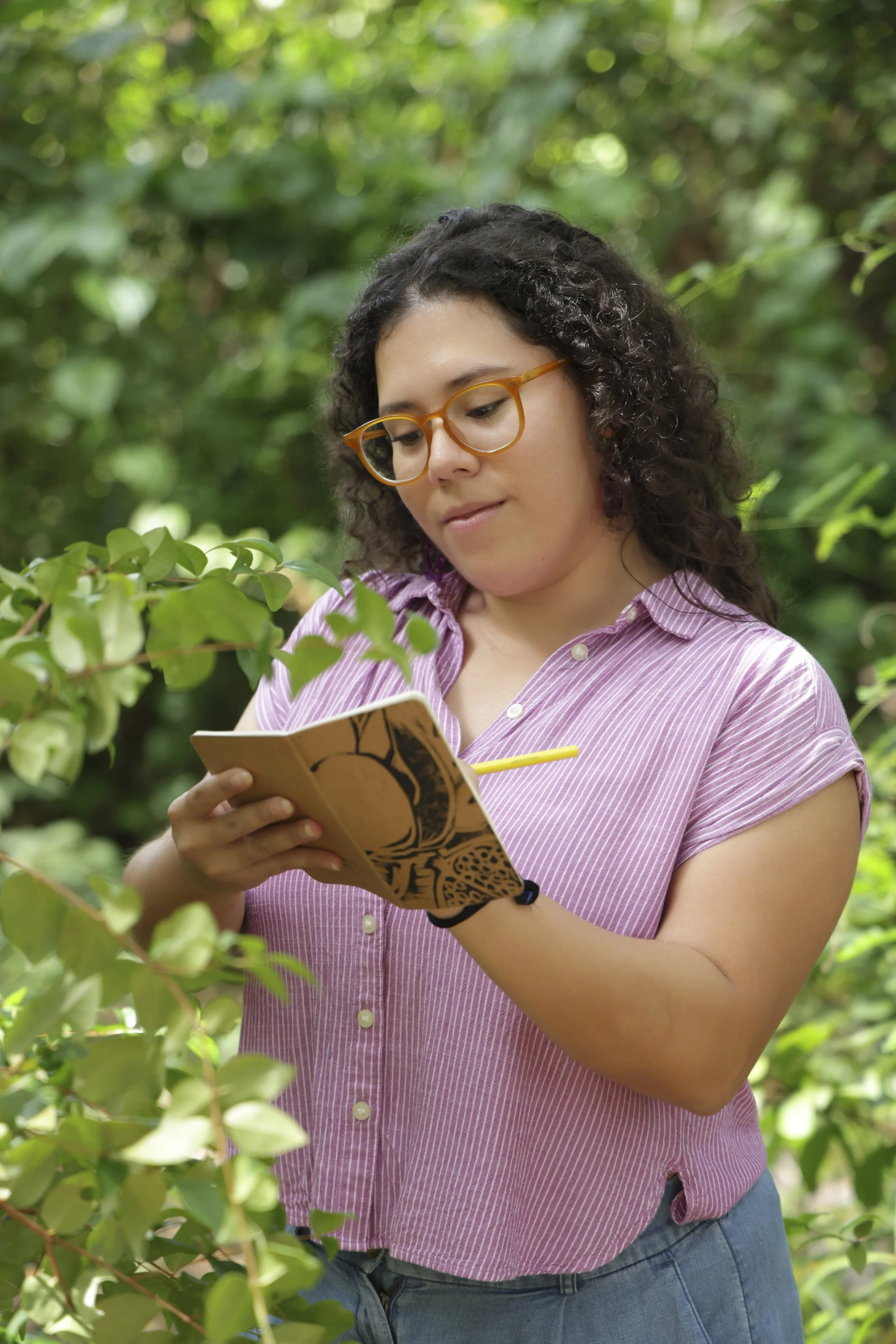 Nature Journaling con la familia 9/12/2026