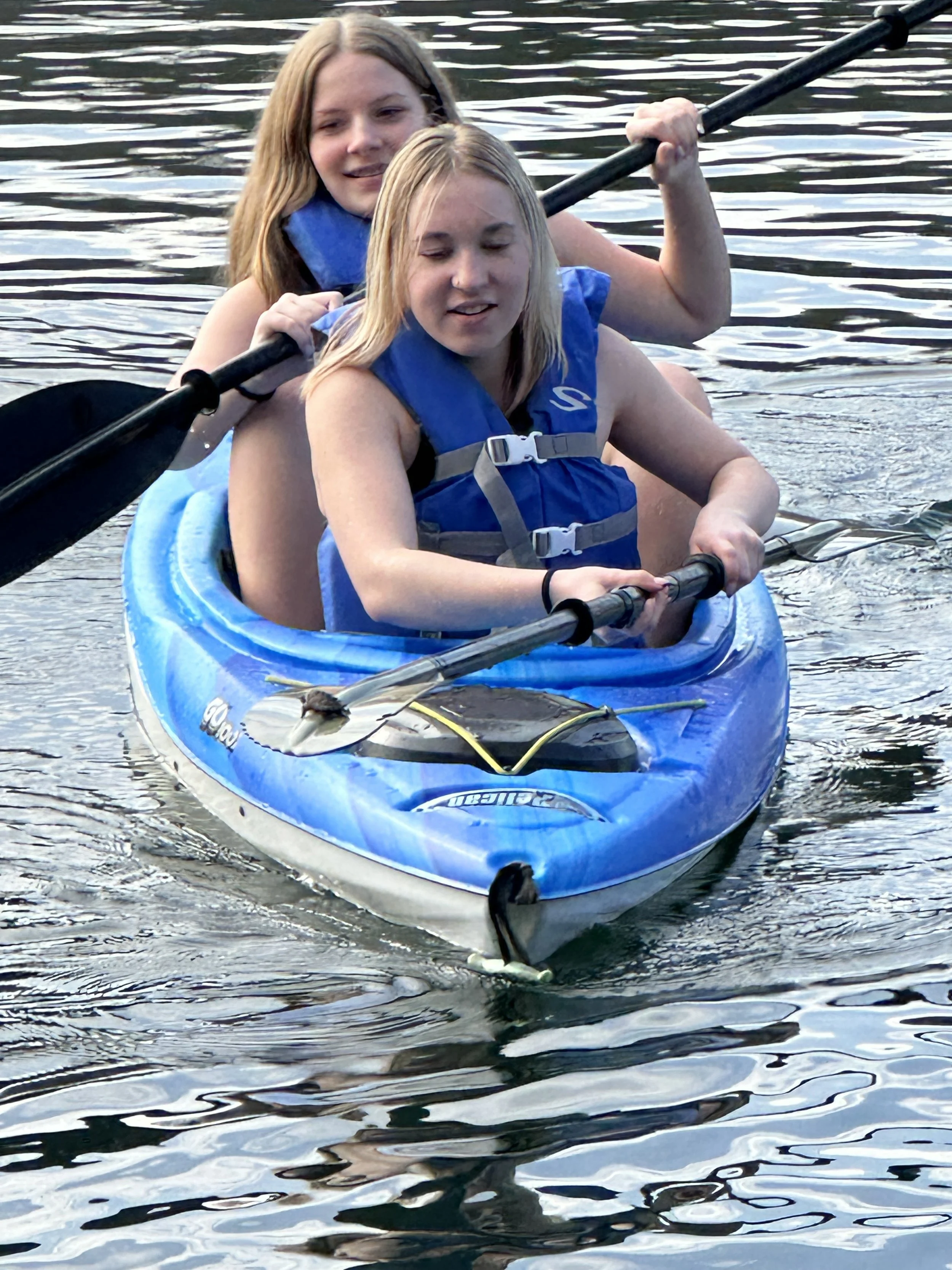 Kayak Turtle.jpg