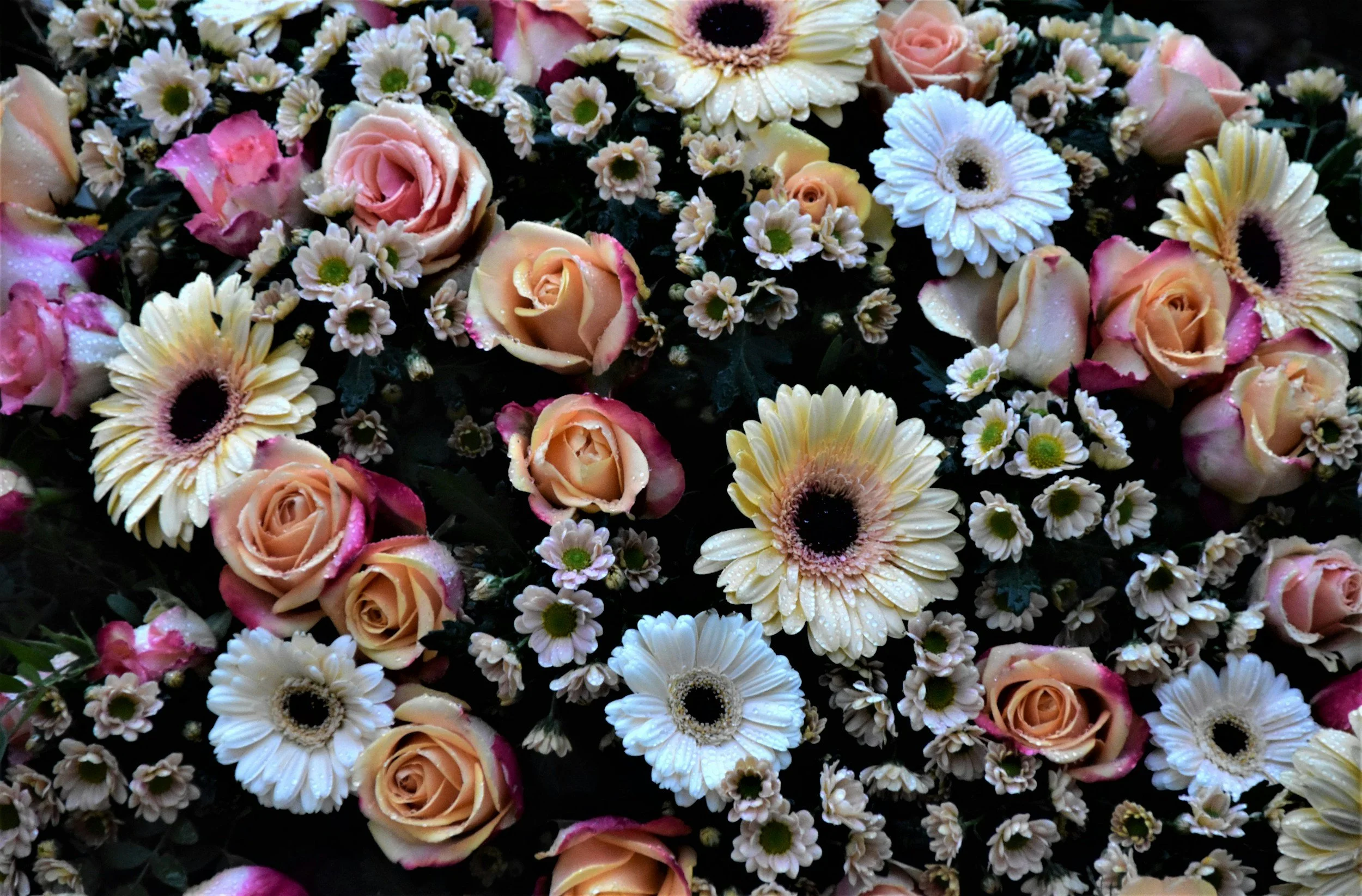 Nancy Miller's memorial service