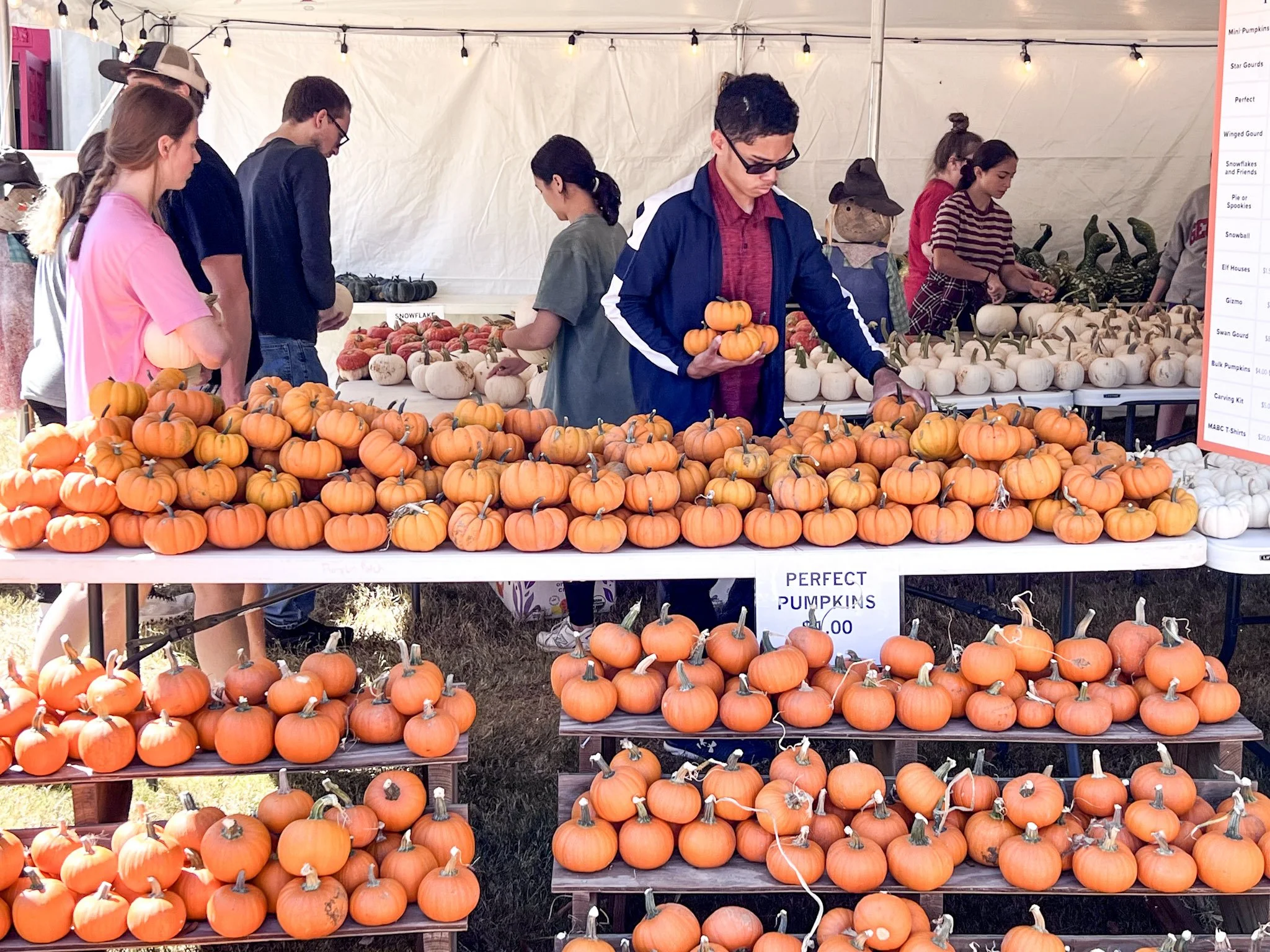 Pumpkin-patch-4.jpeg