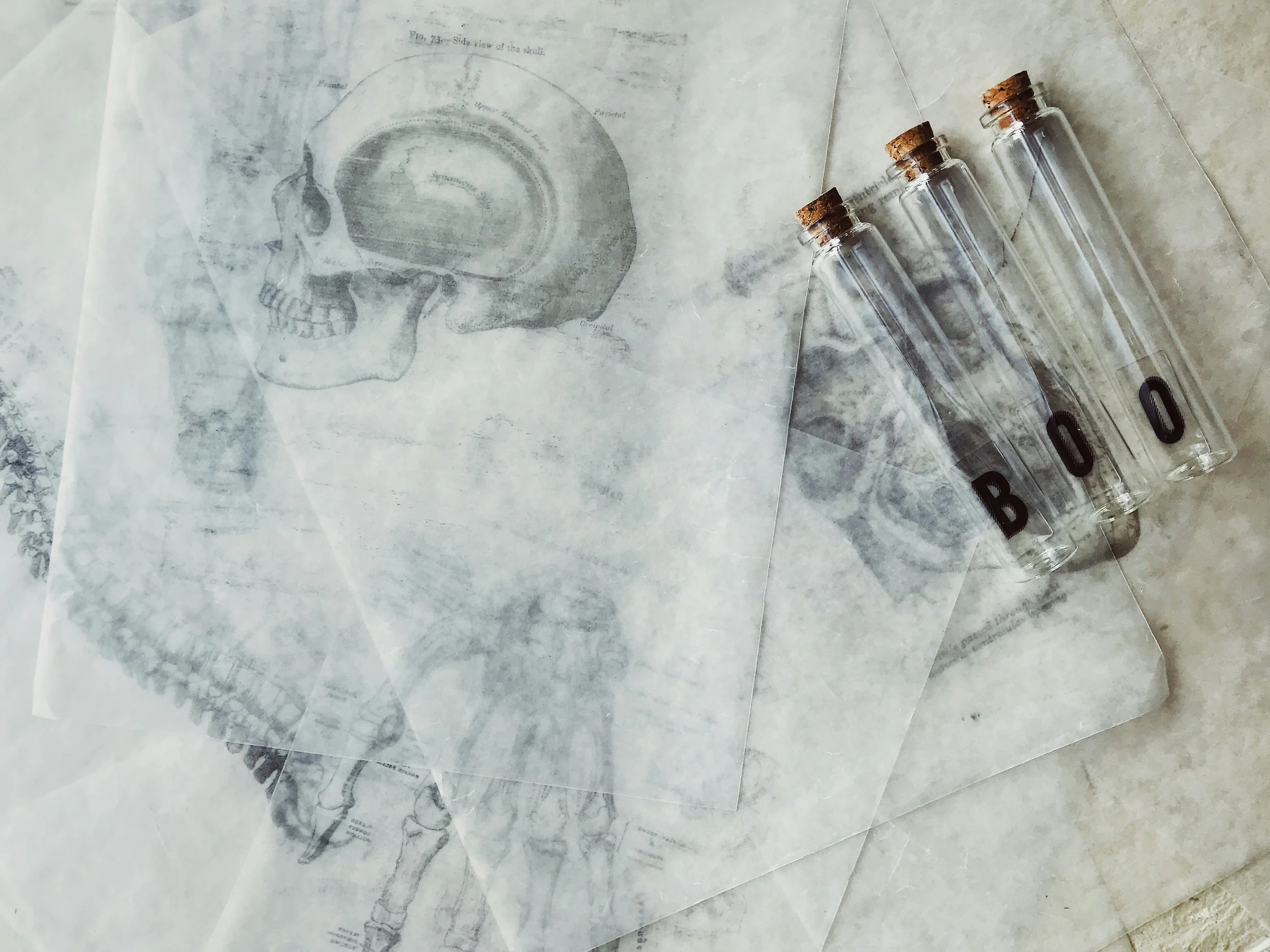 Reprocessing trauma through EMDR therapy.