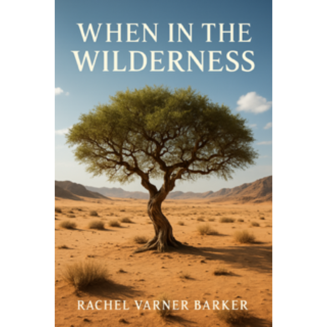 When In The Wilderness