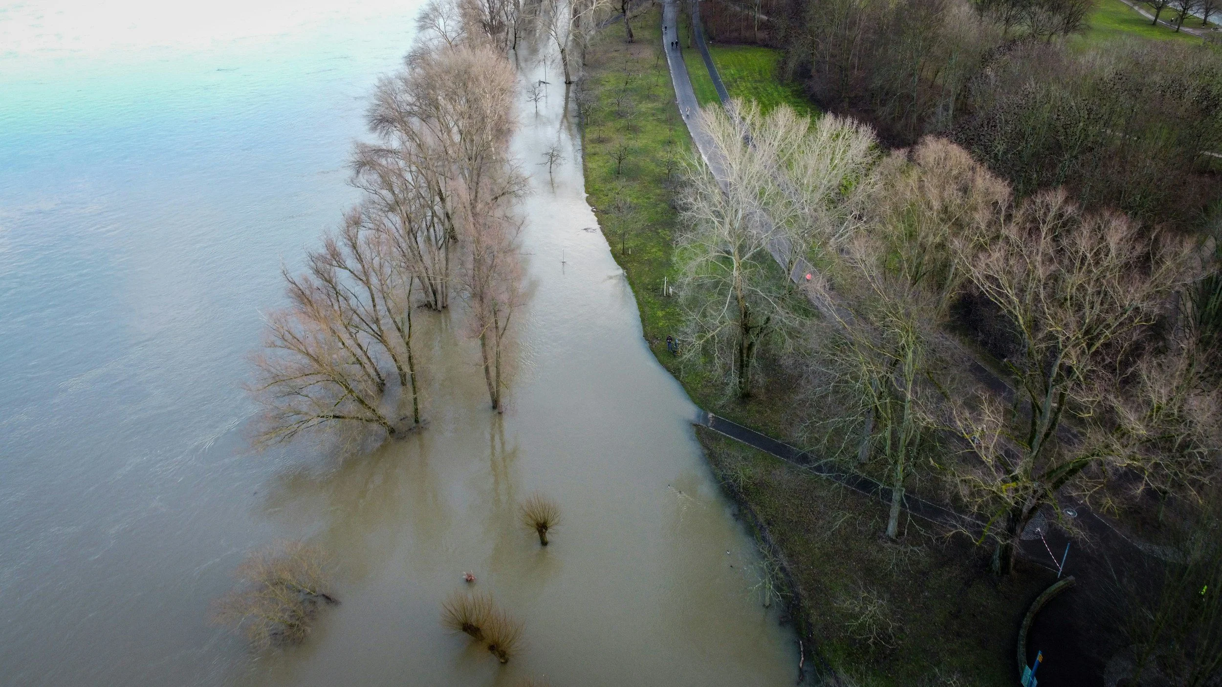 The Climate Emergency is Uninsurable