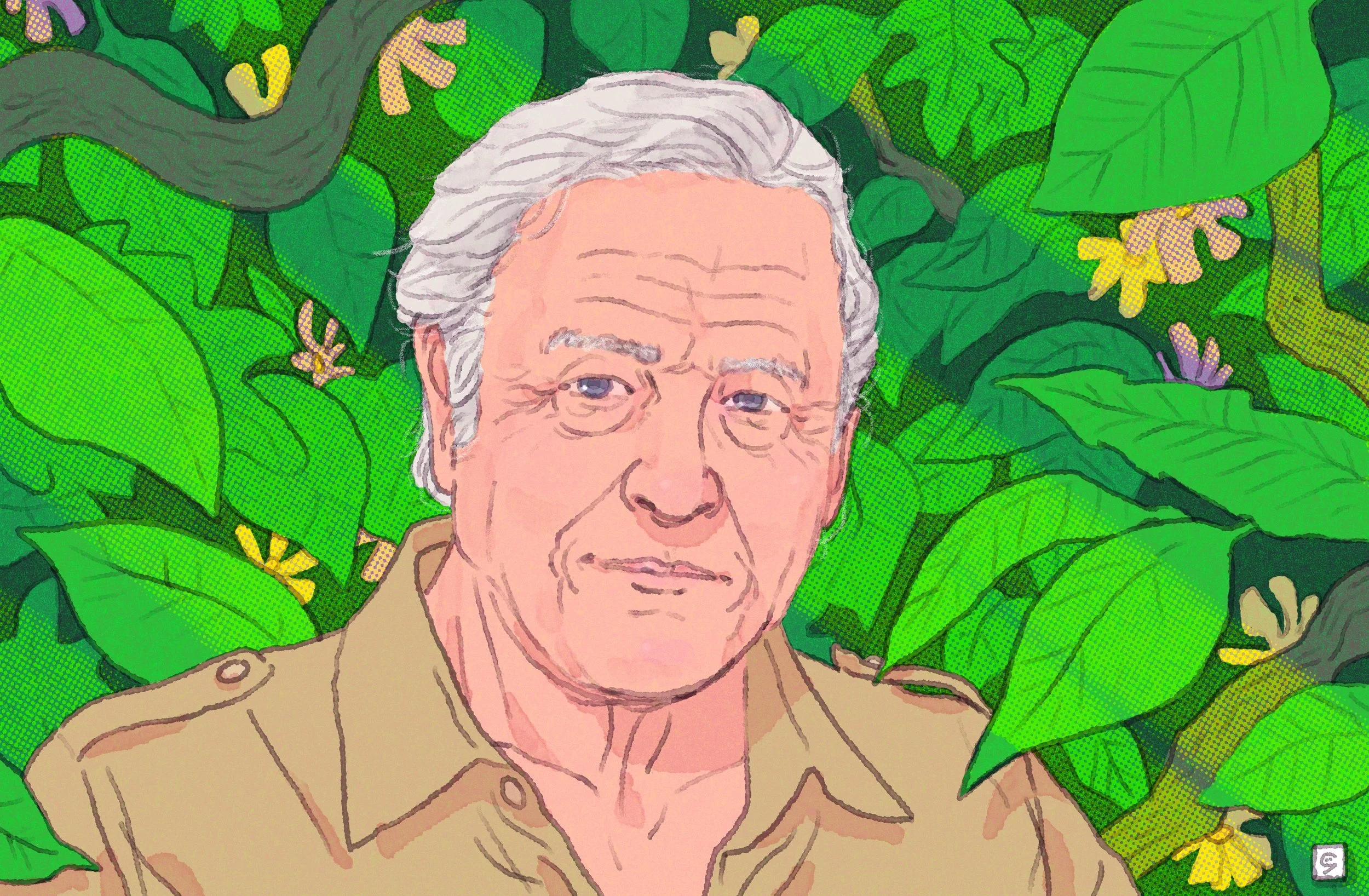 Attenborough.jpg
