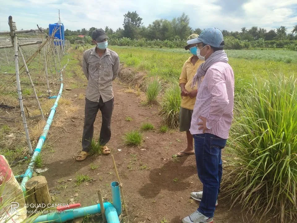 Lors Thmey Team, Co-Implementer of AIMS Project, Met With Farmers and Visited Demonstration Plantations in Kampong Cham Province