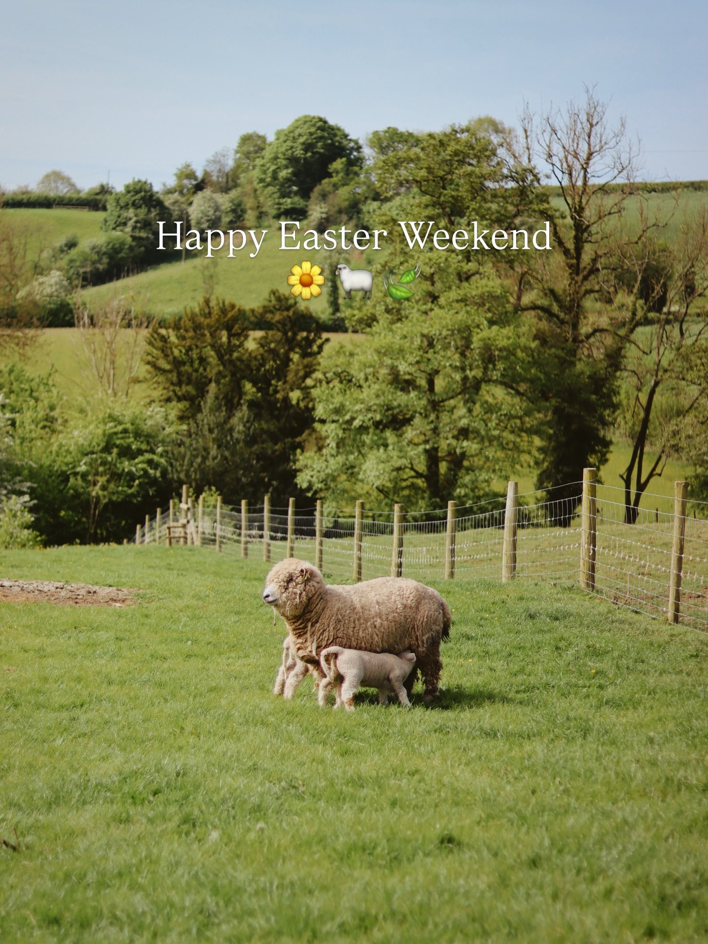 Ready for all our Easter Weekend guests at @redfordfarmstays and hopeful for some Easter sunshine 🐰🤞🏼🌞🌷🐣 

Looking forward to welcoming our first guests to the Farmhouse this weekend ✨ We&rsquo;re fully booked across the next 2 Bank Holiday Wee